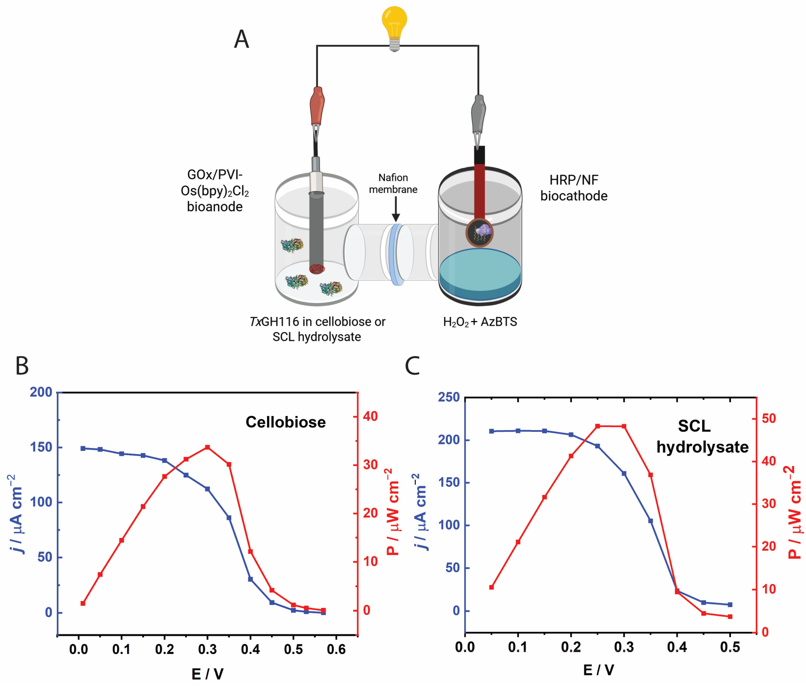 Biosensors 15 00674 g008