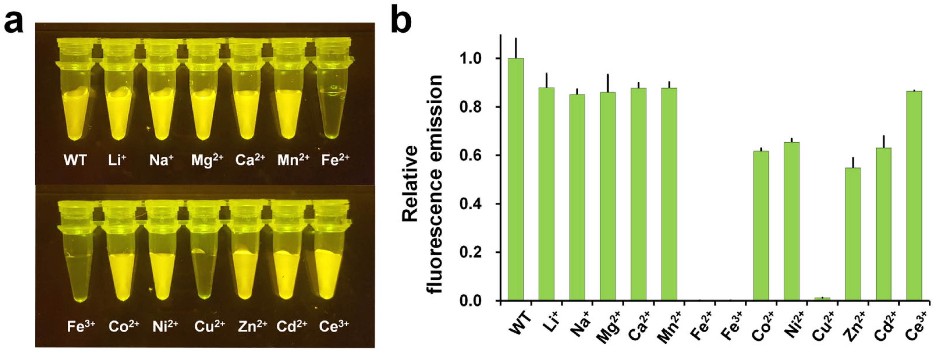 Biosensors 15 00675 g002