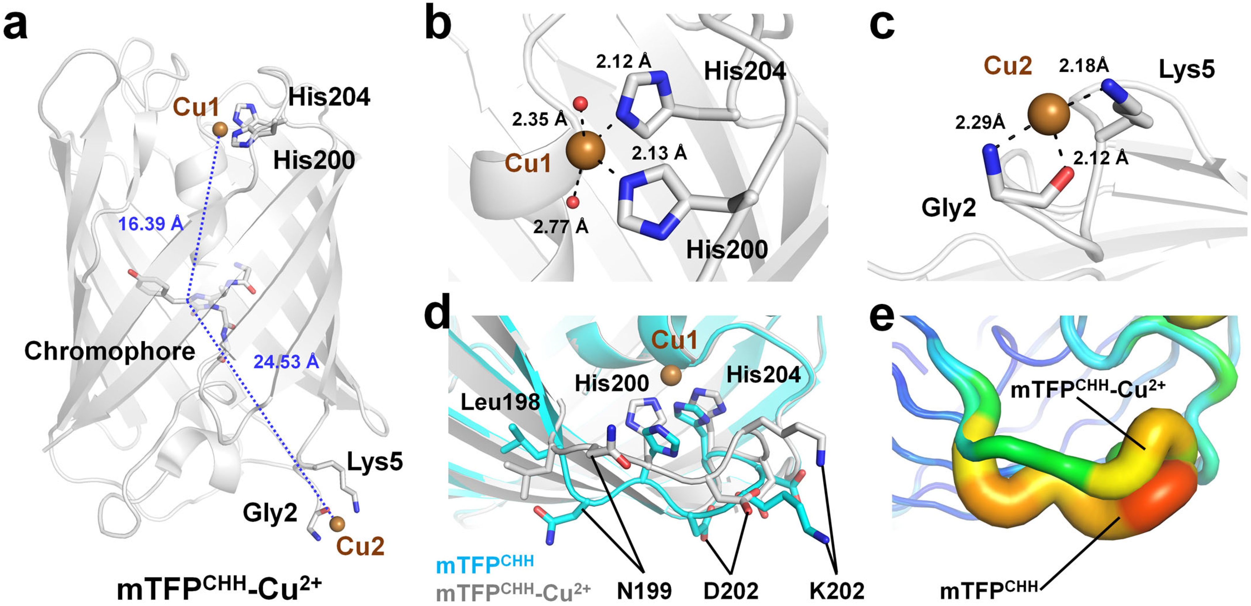 Biosensors 15 00675 g003