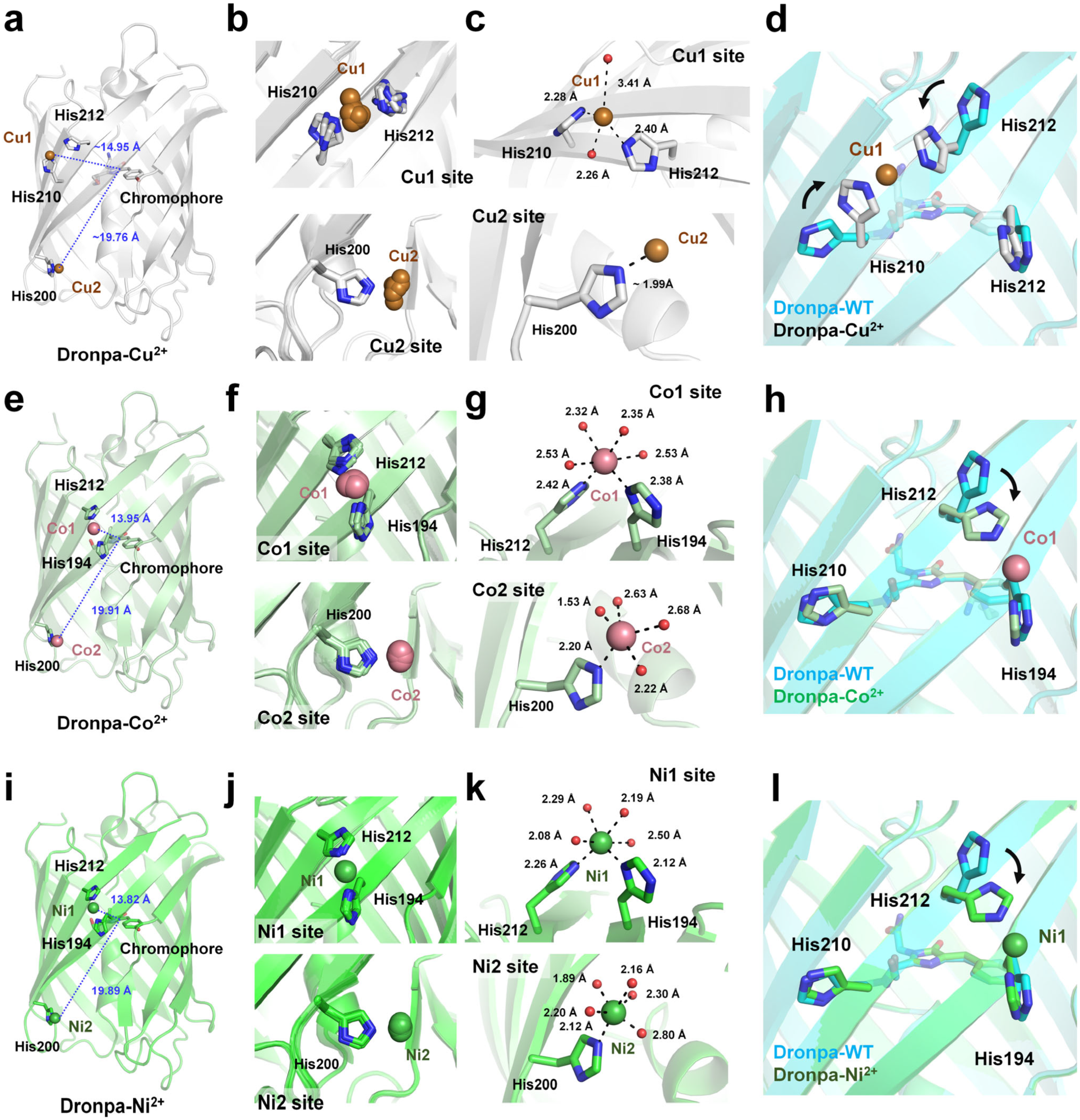 Biosensors 15 00675 g004