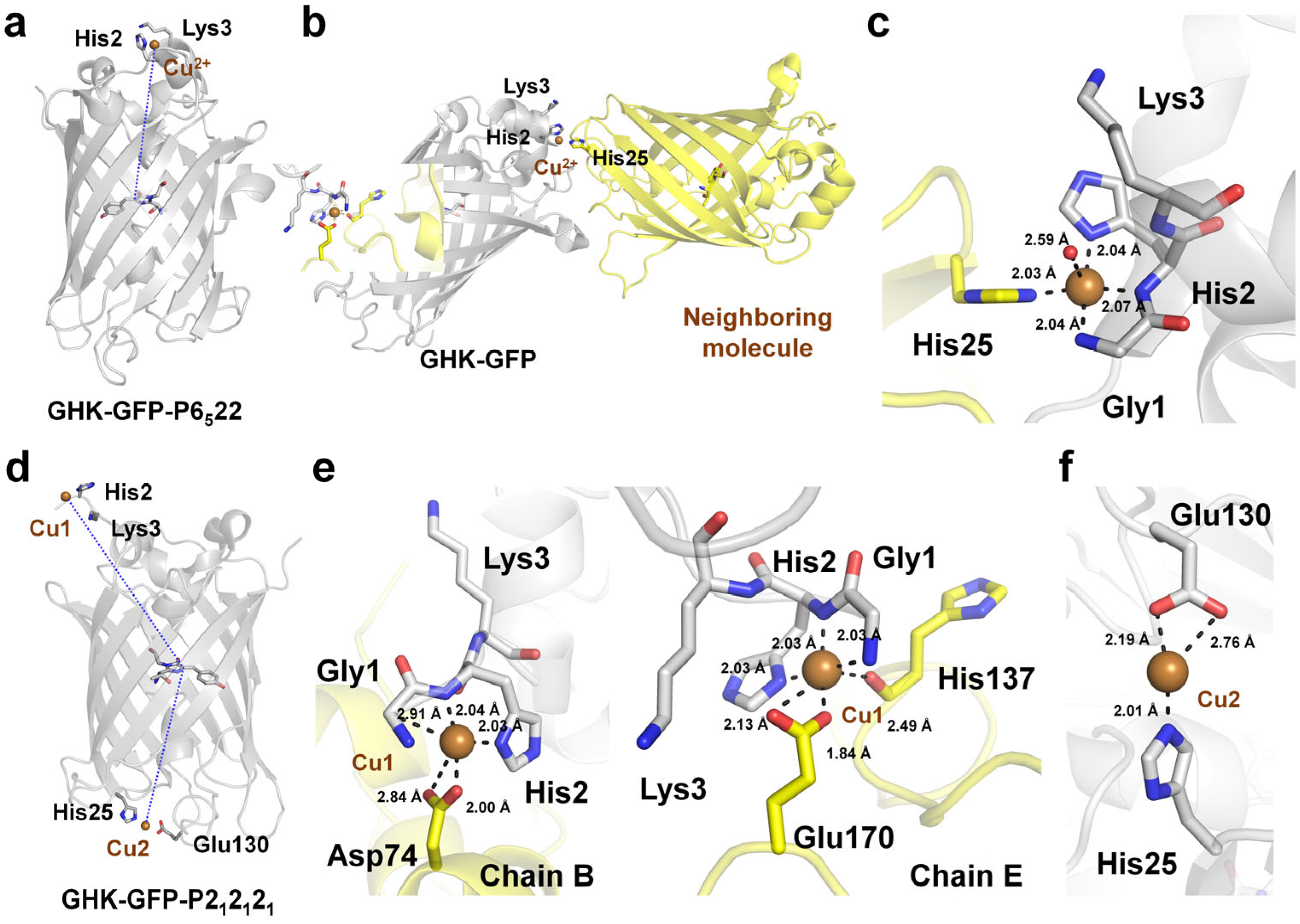 Biosensors 15 00675 g006