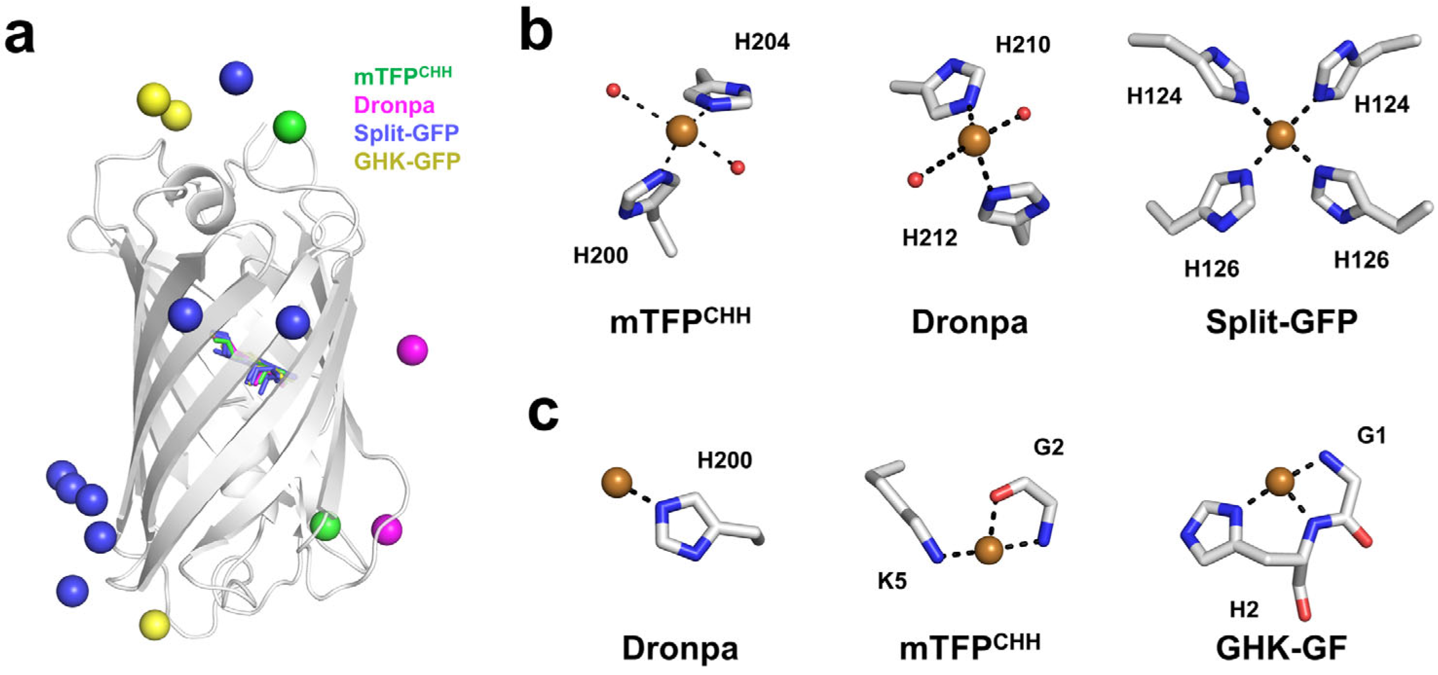 Biosensors 15 00675 g007