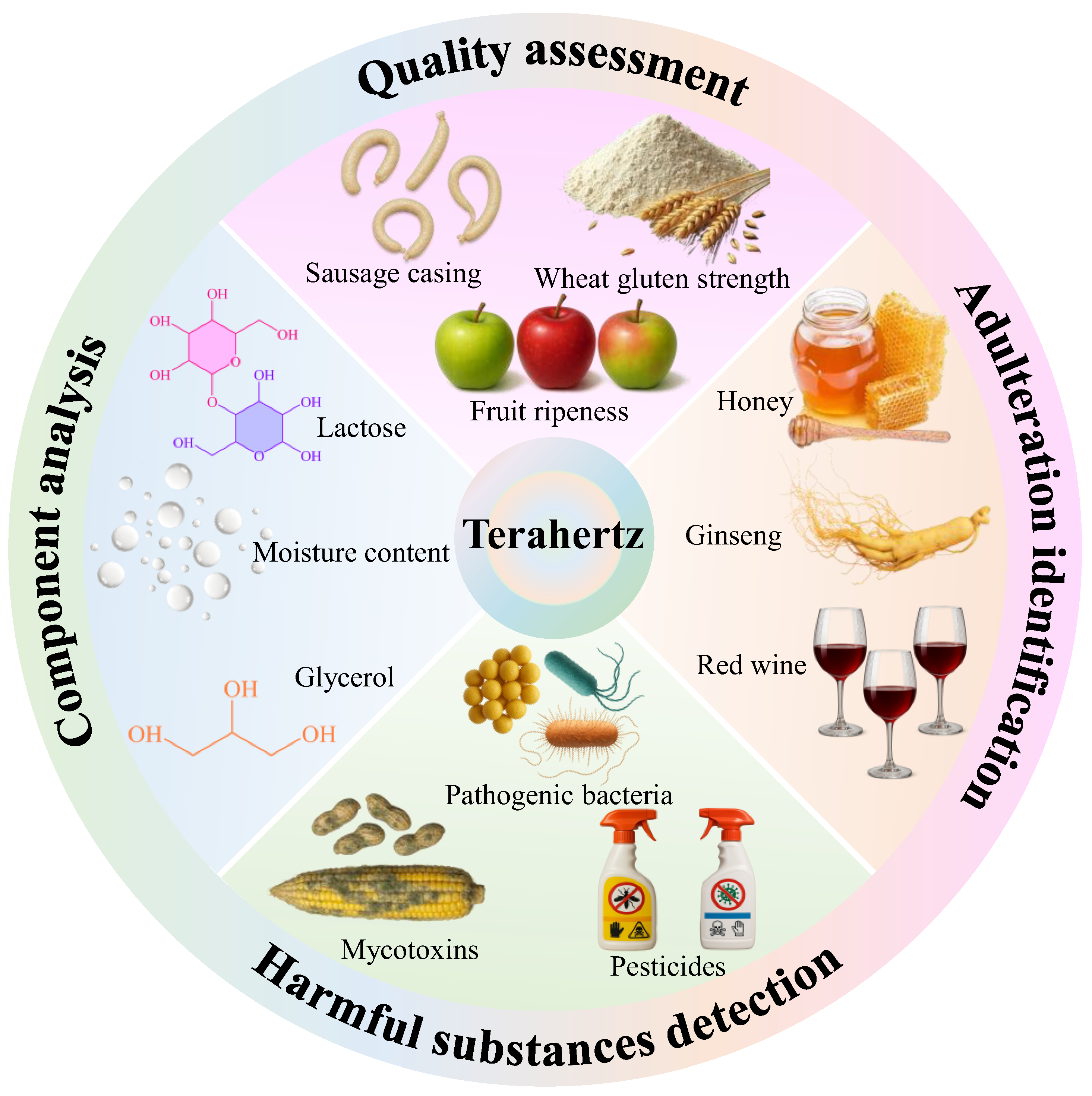 Biosensors 15 00677 g001