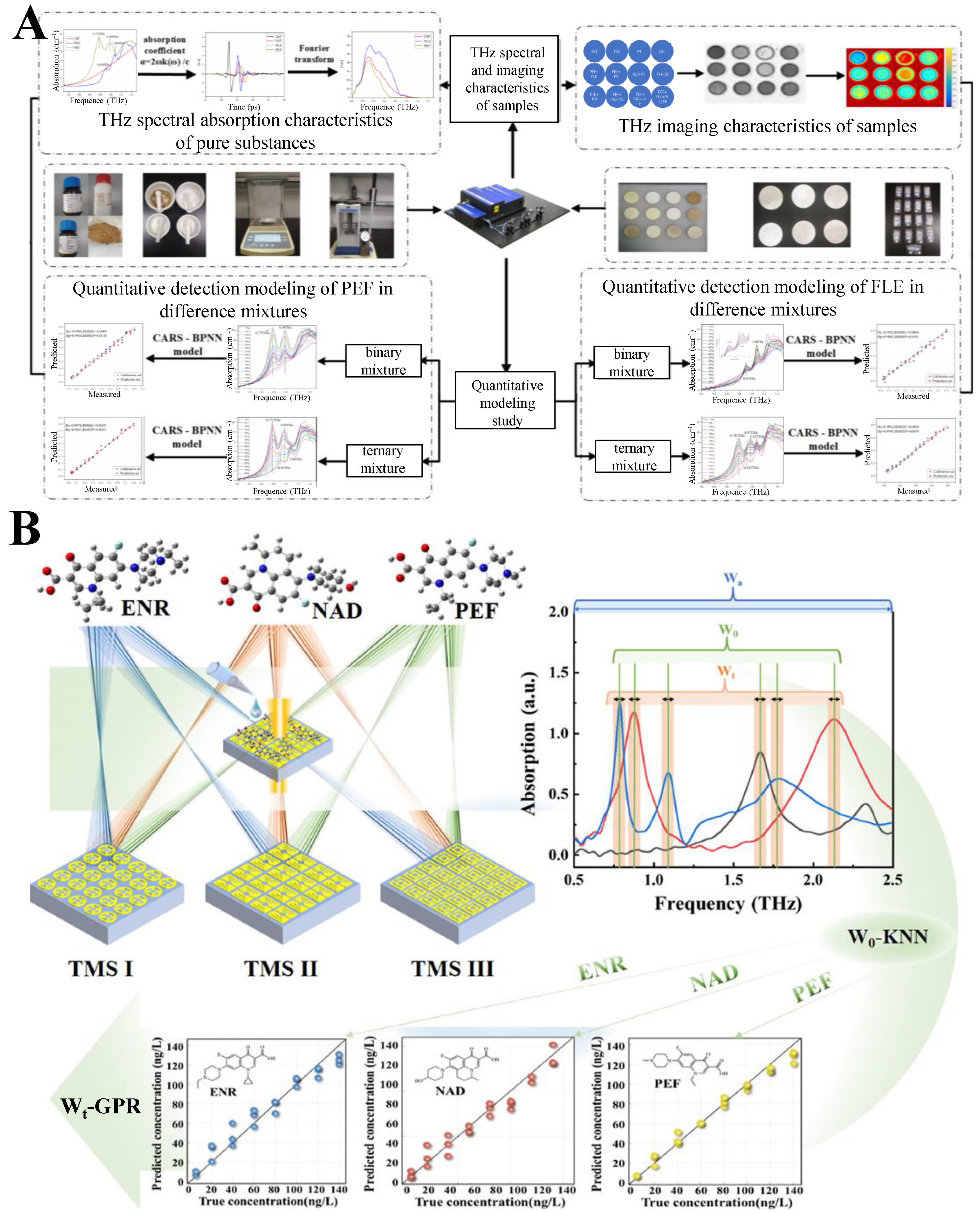 Biosensors 15 00677 g005