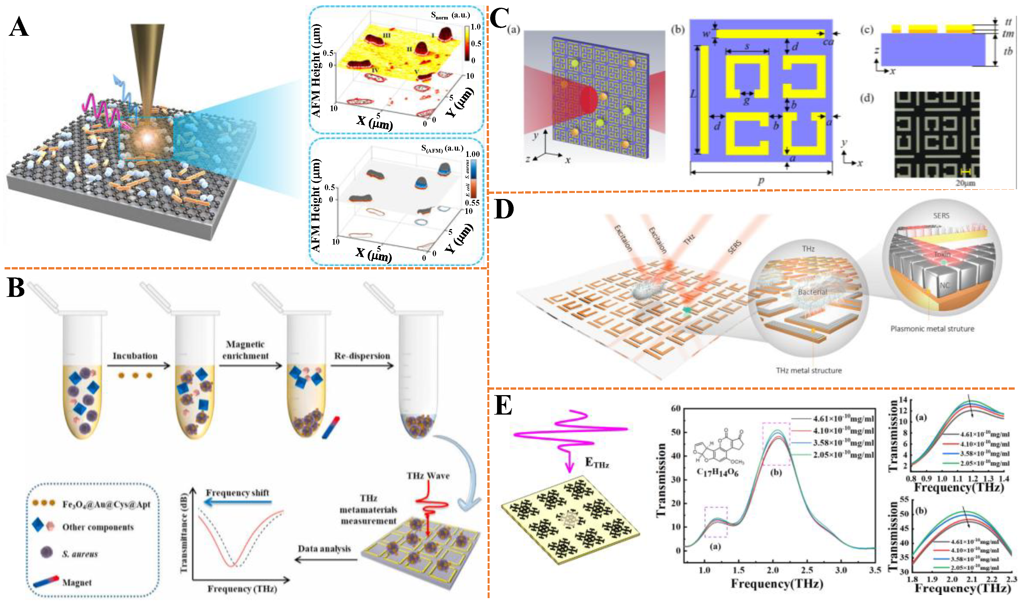 Biosensors 15 00677 g006