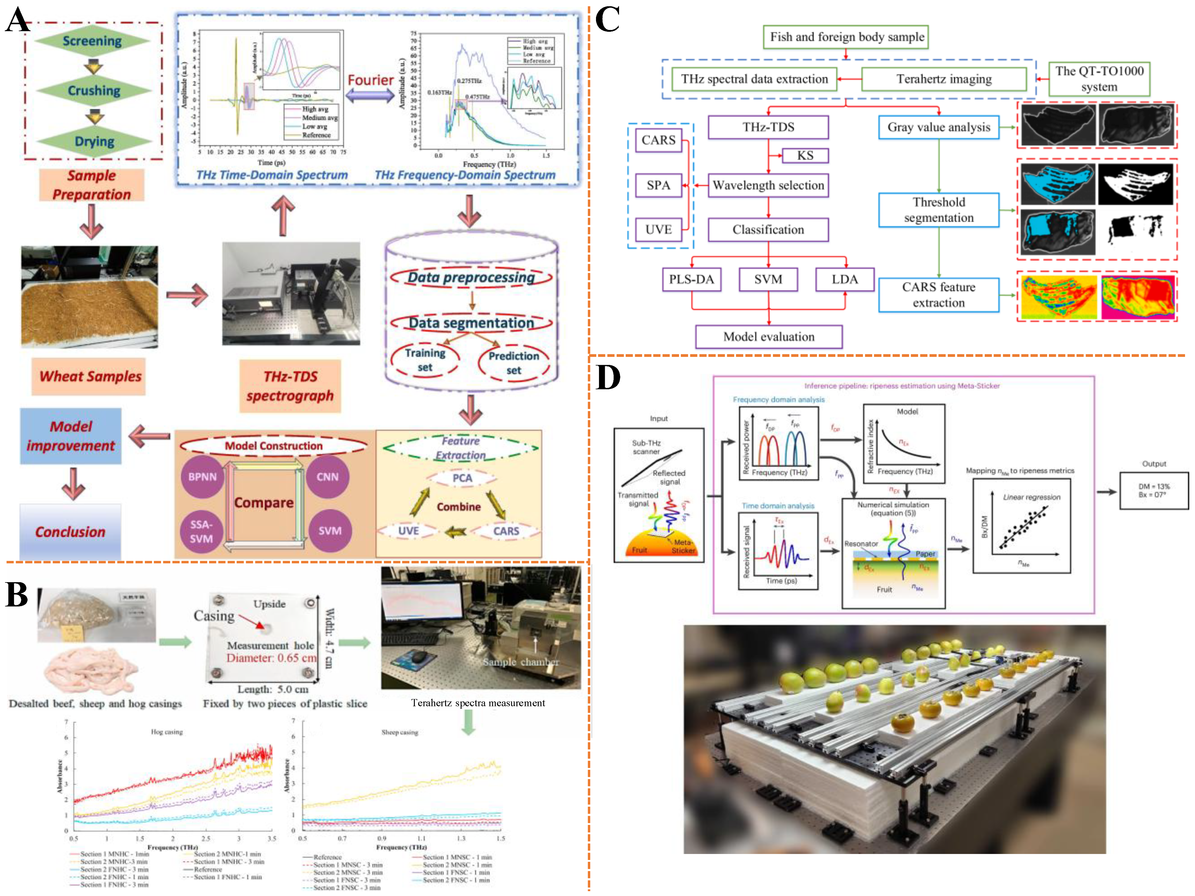 Biosensors 15 00677 g008