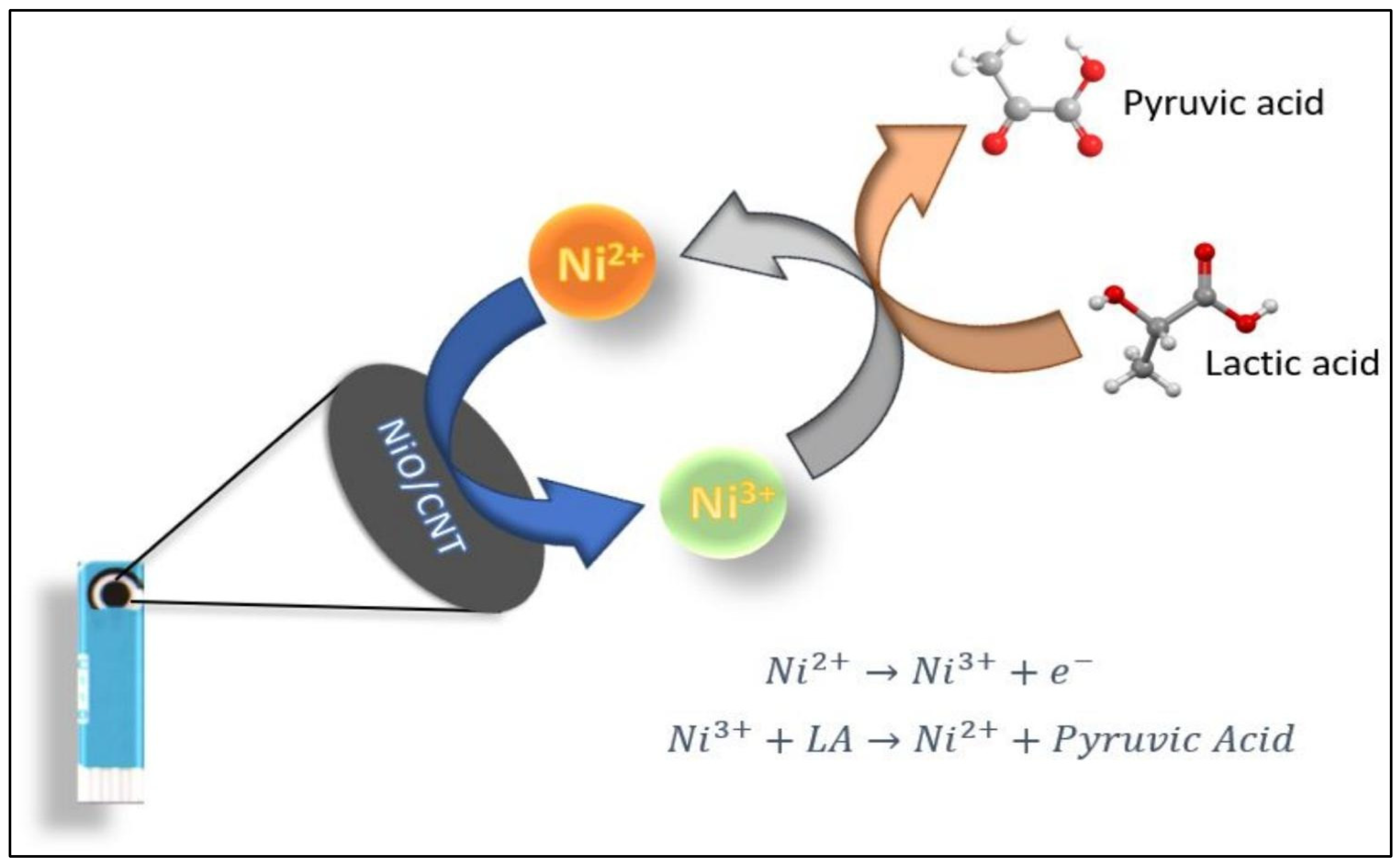 Biosensors 15 00678 g002 Biosensors 15 00678 g002