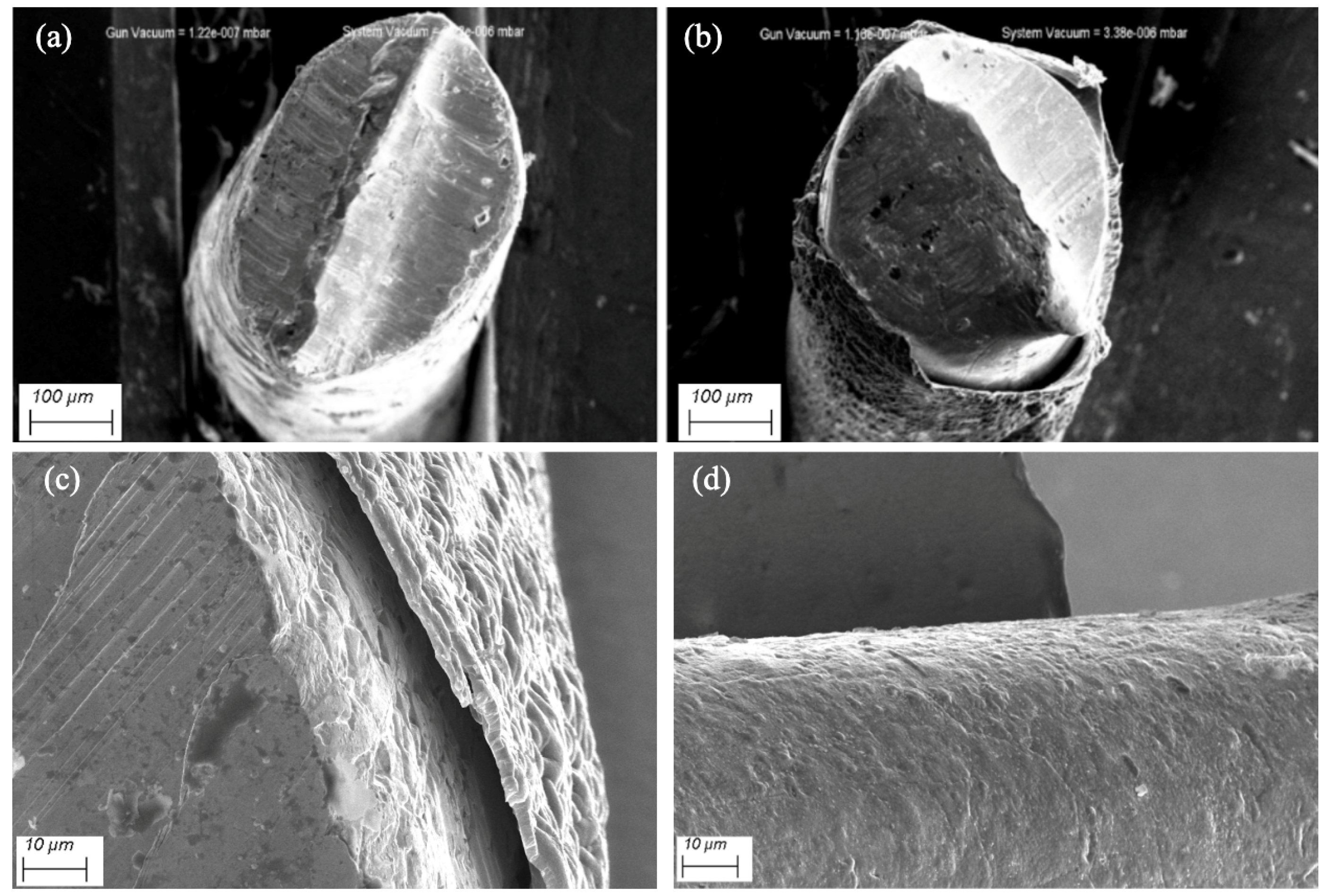 Biosensors 15 00679 g004 Biosensors 15 00679 g004