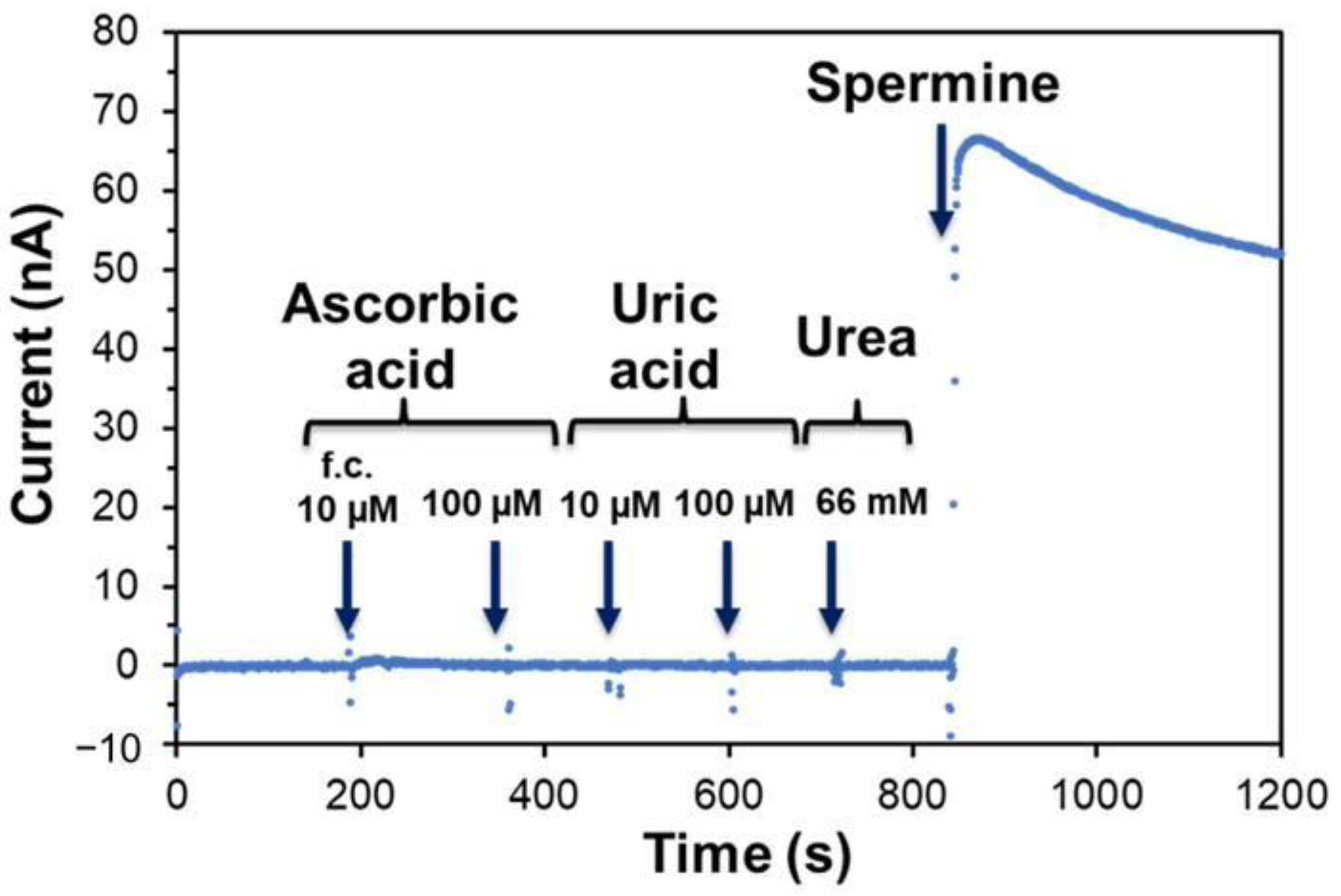 Biosensors 15 00681 g005 Biosensors 15 00681 g005