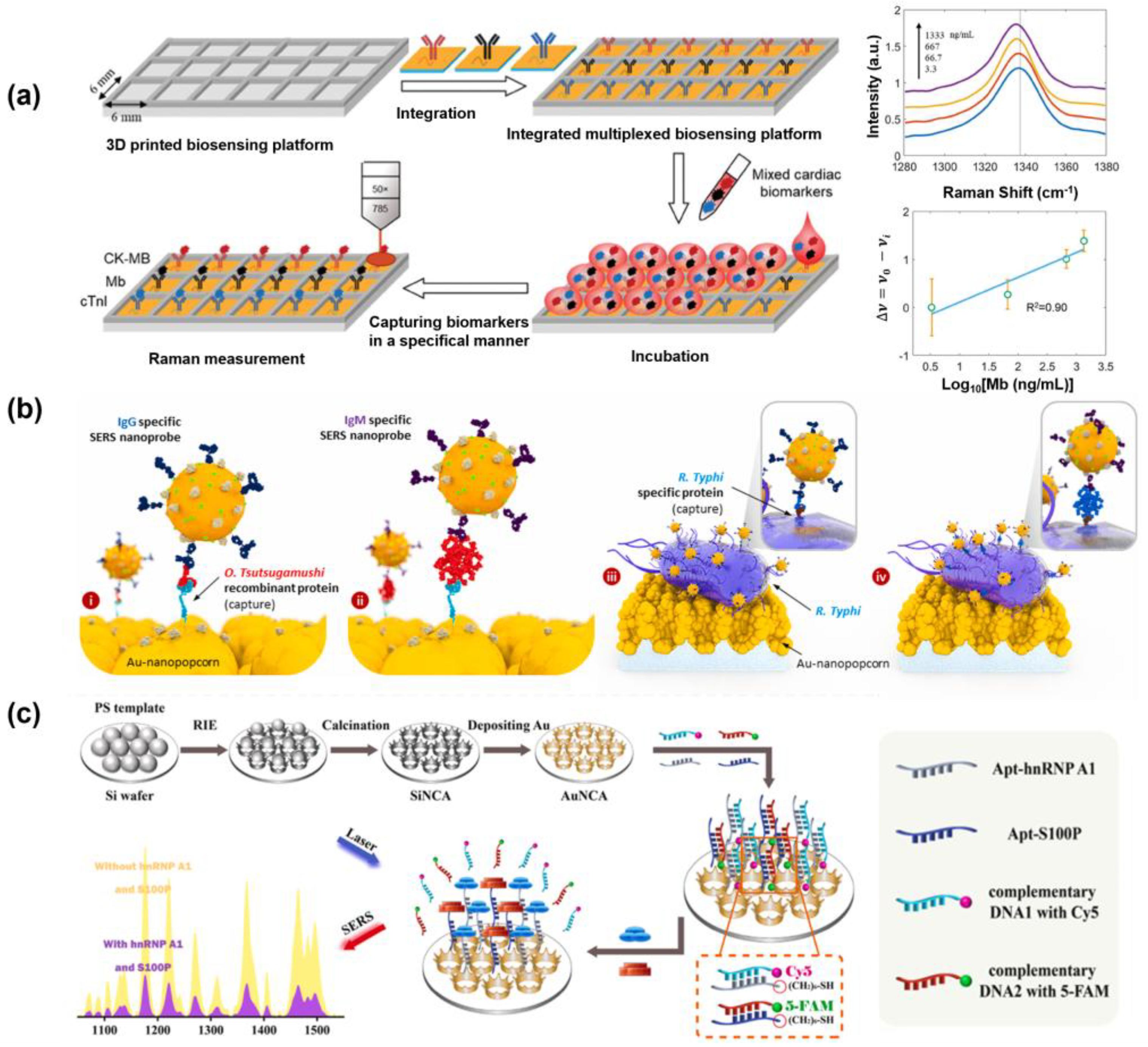 Biosensors 15 00682 g004