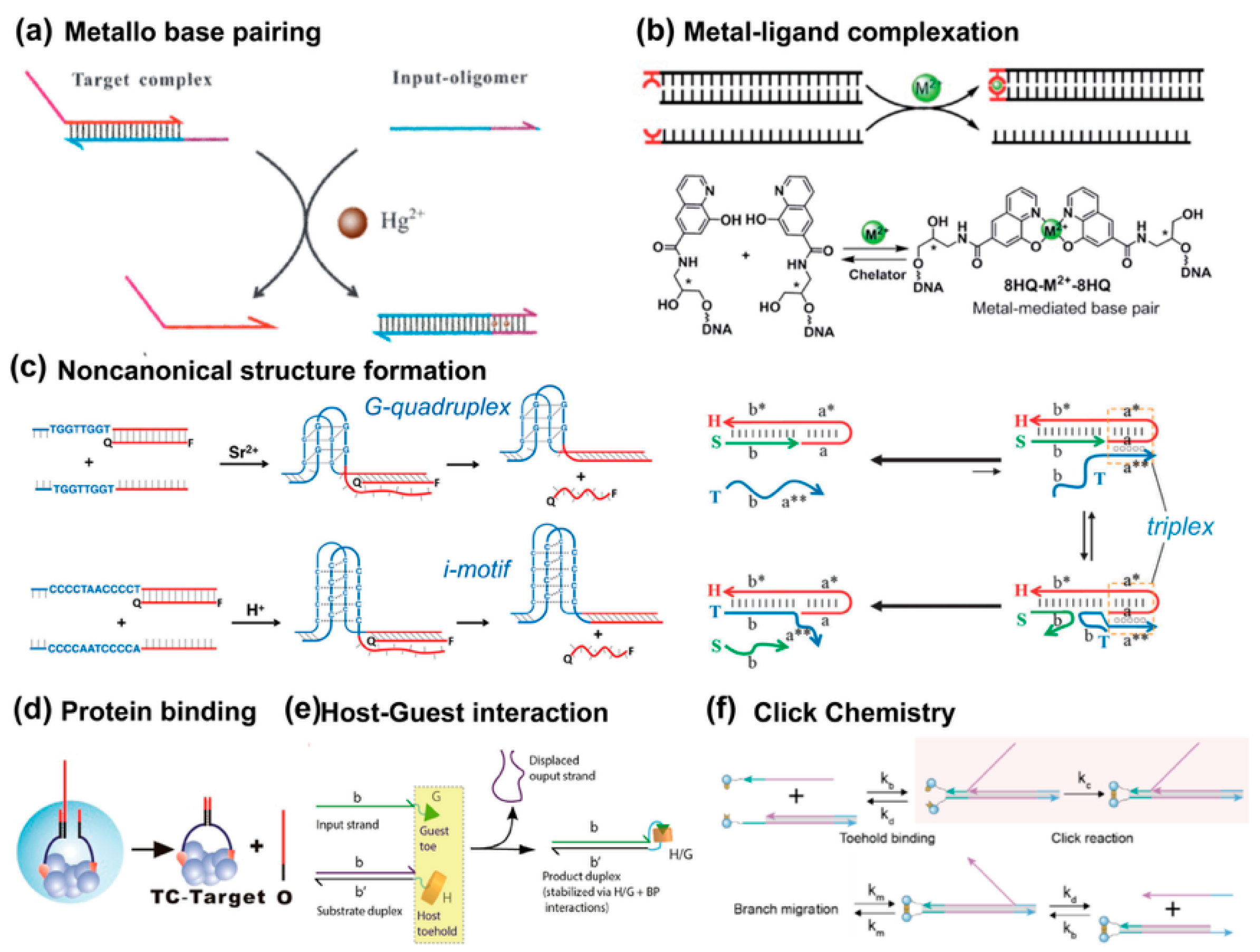 Biosensors 15 00683 g004