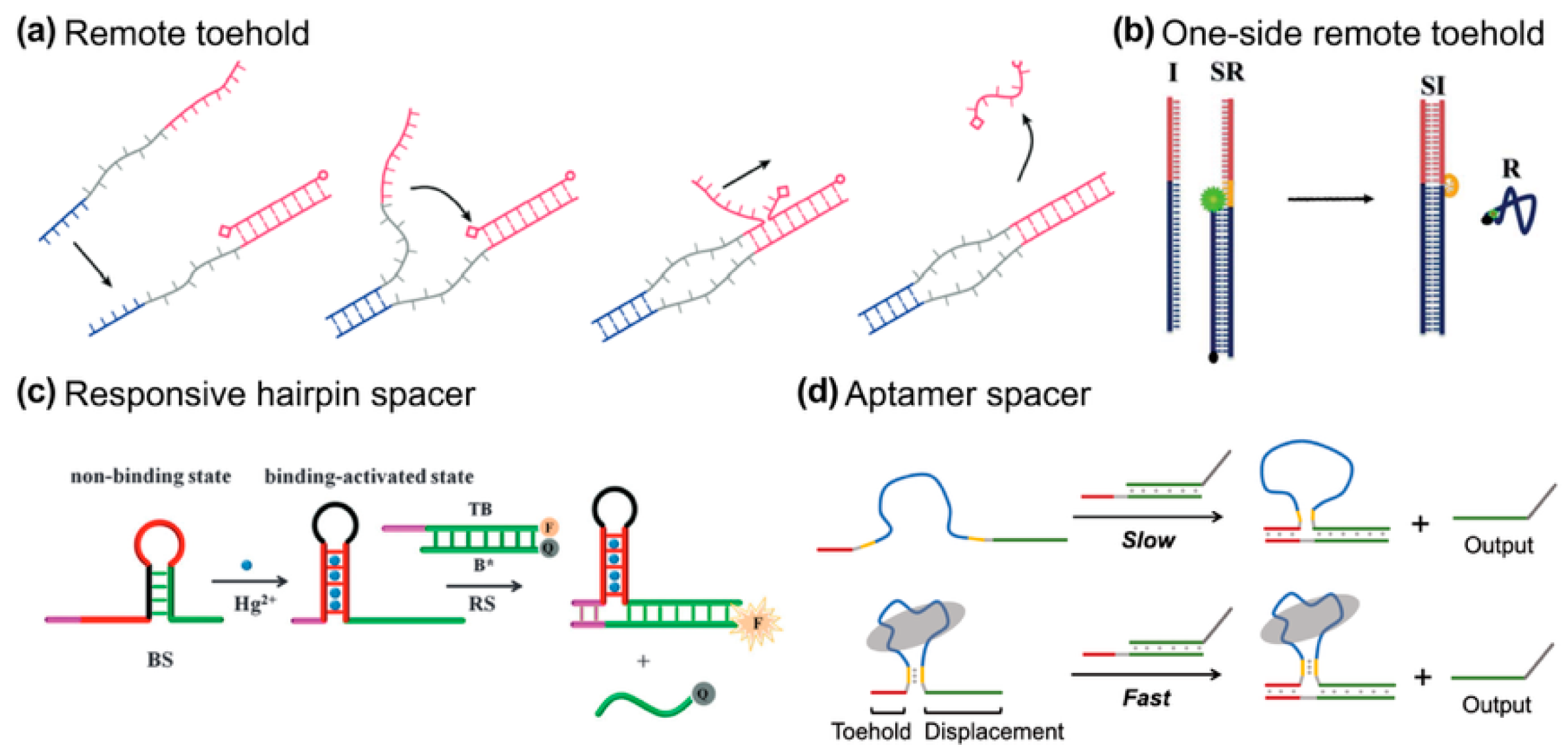 Biosensors 15 00683 g005