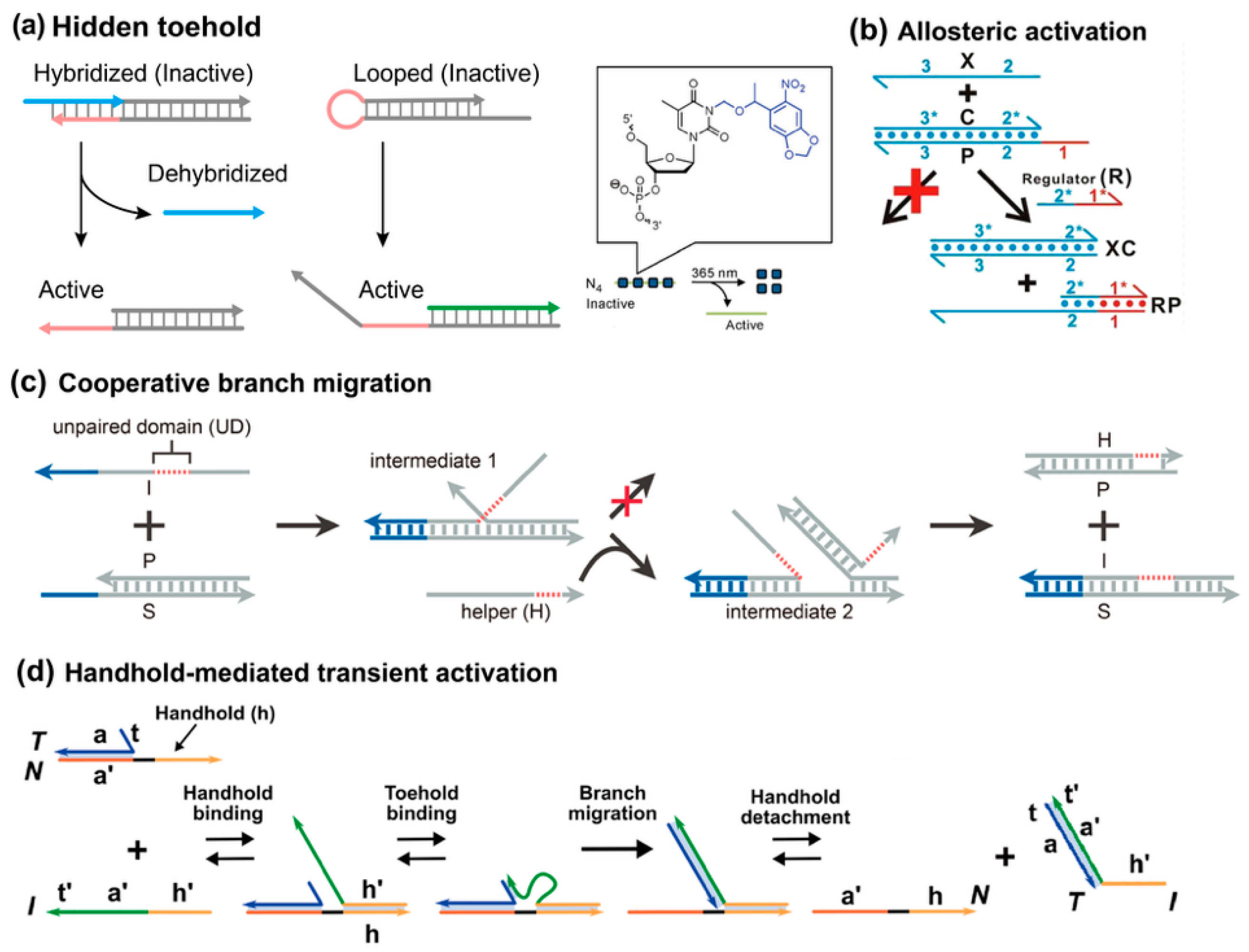 Biosensors 15 00683 g007