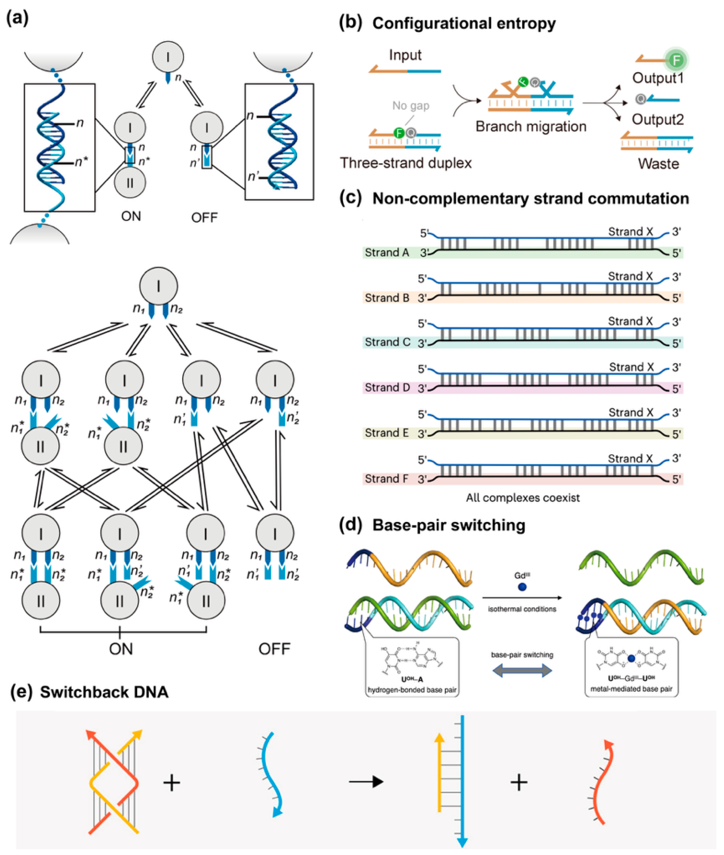 Biosensors 15 00683 g008