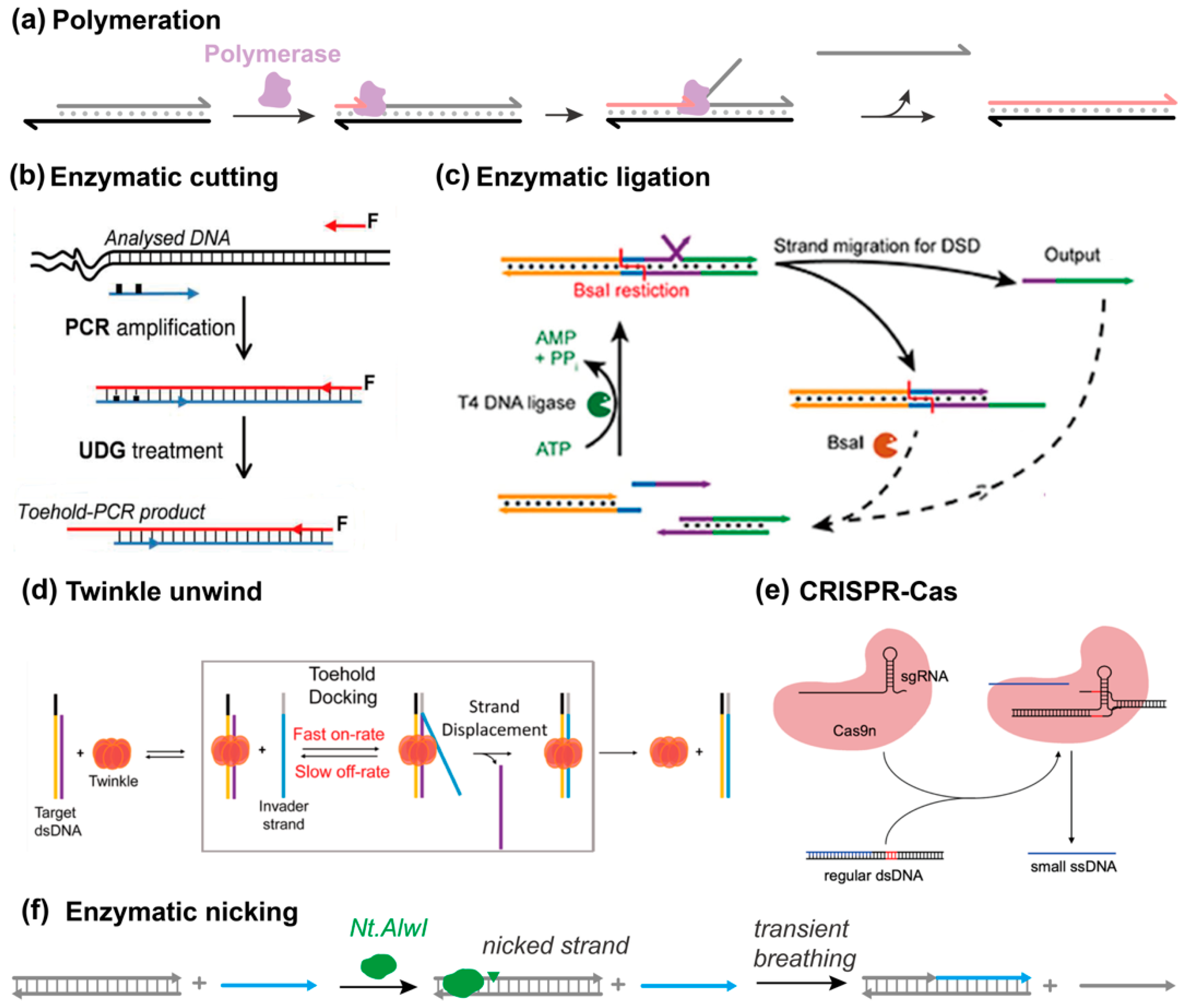 Biosensors 15 00683 g009
