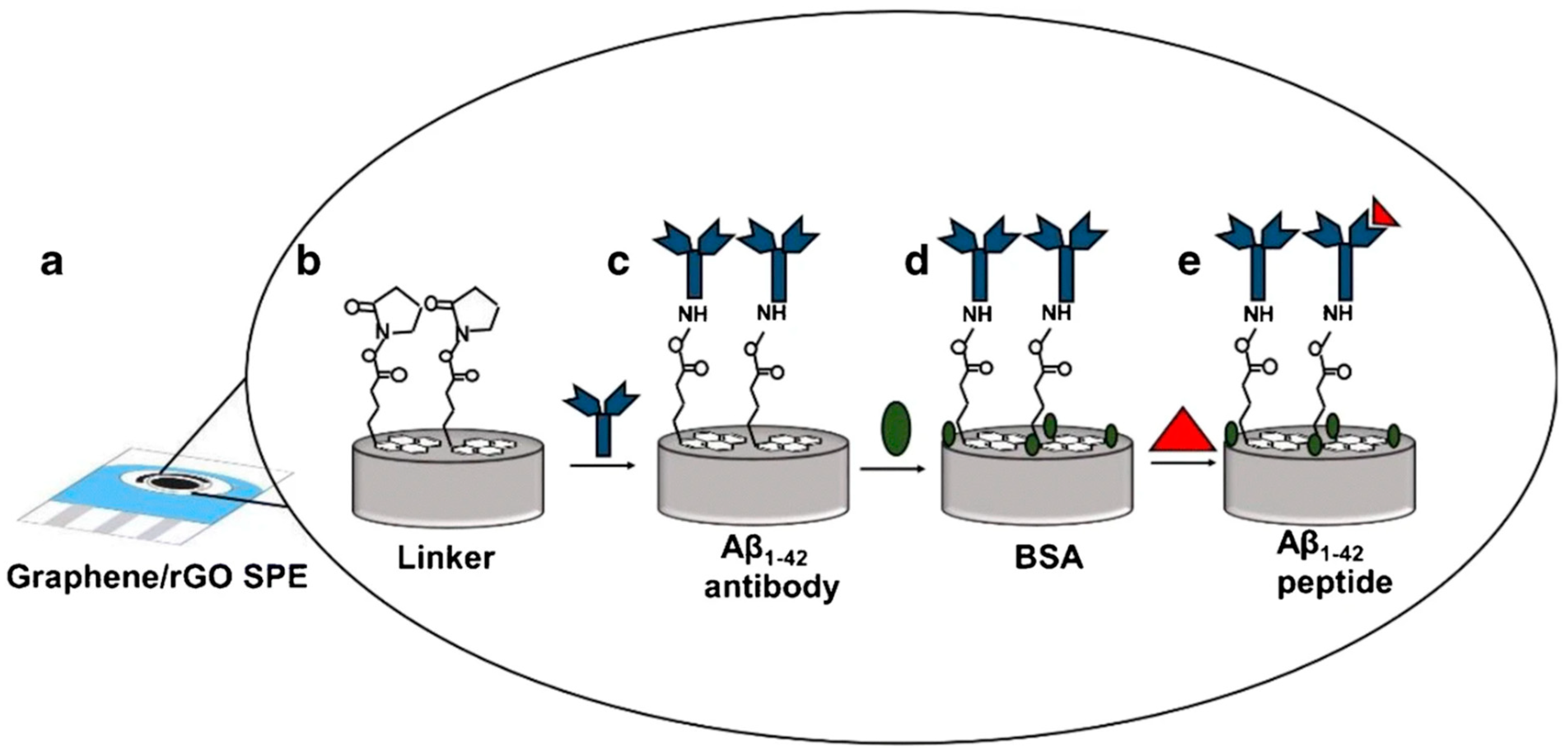 Biosensors 15 00684 g006