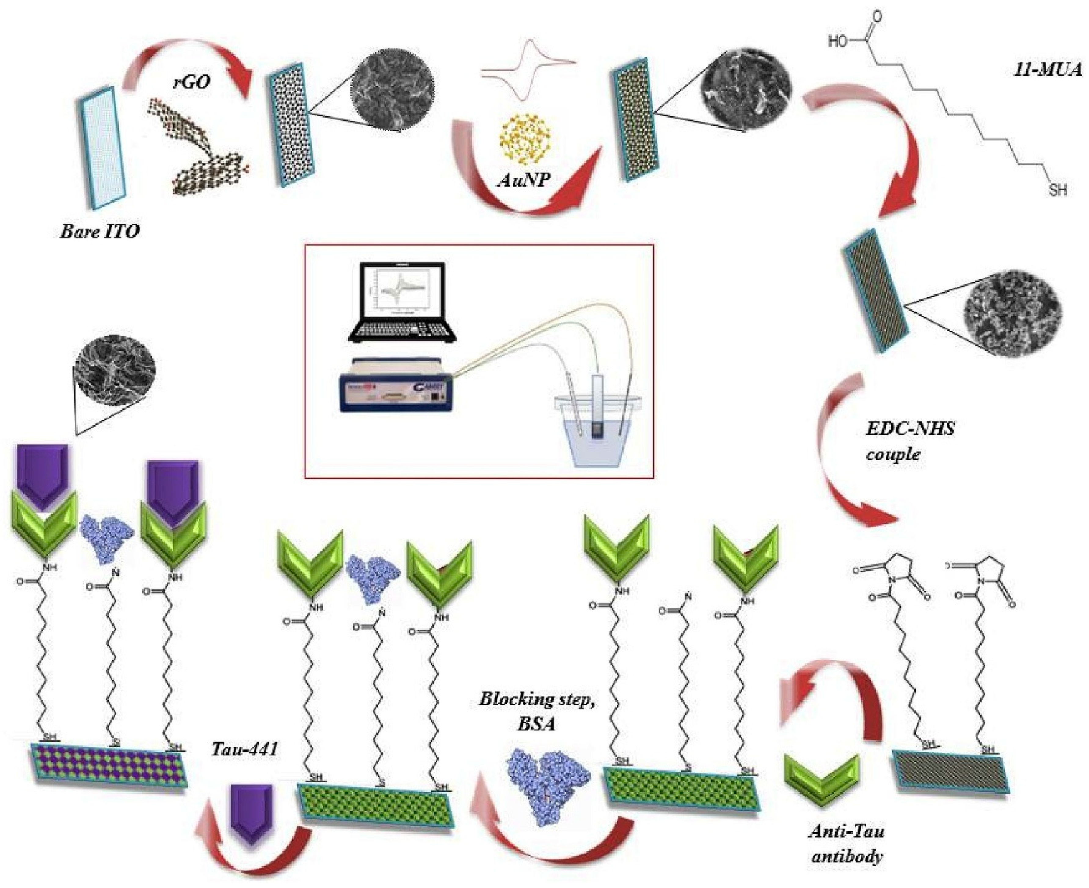 Biosensors 15 00684 g008