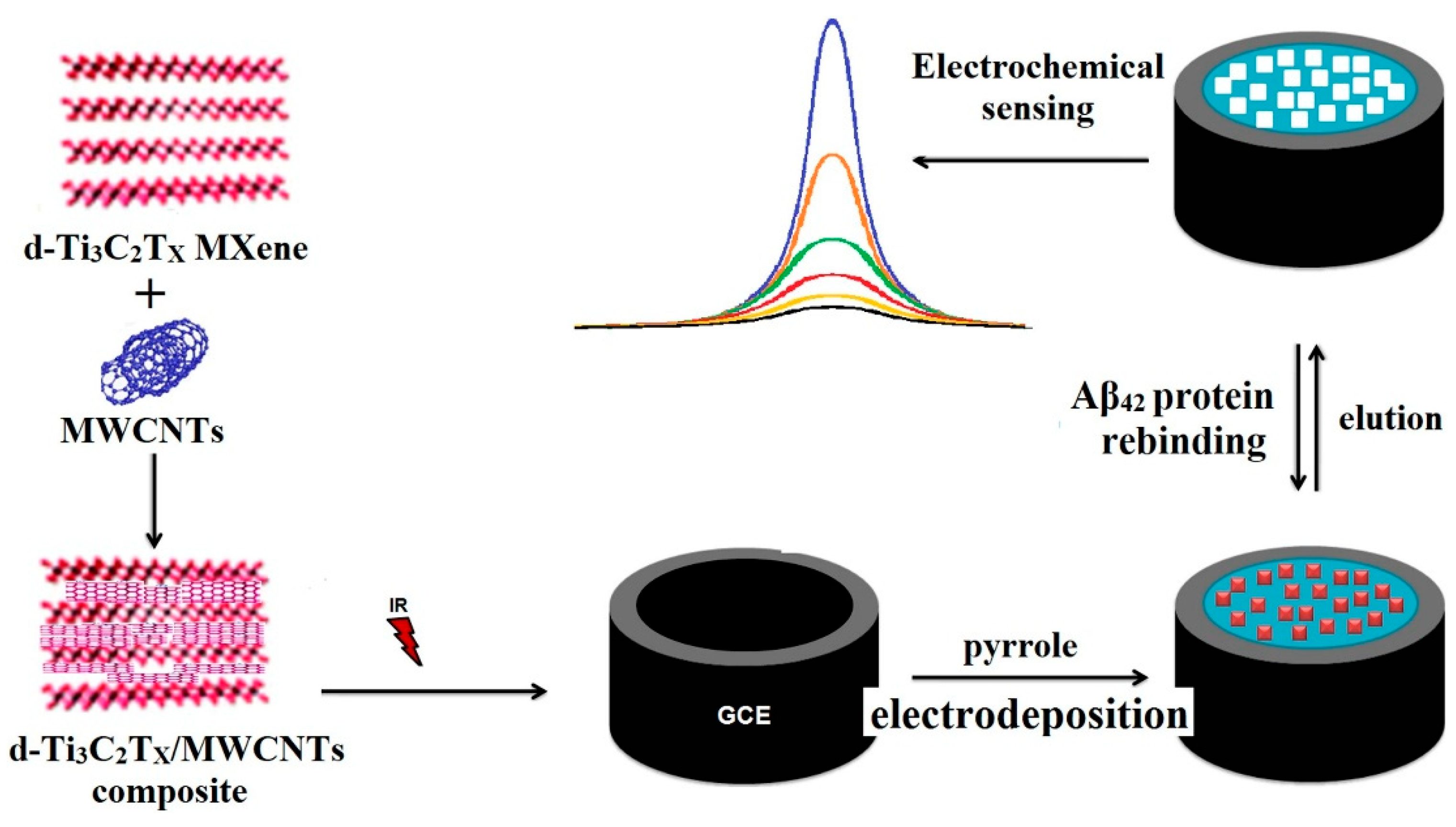 Biosensors 15 00684 g012