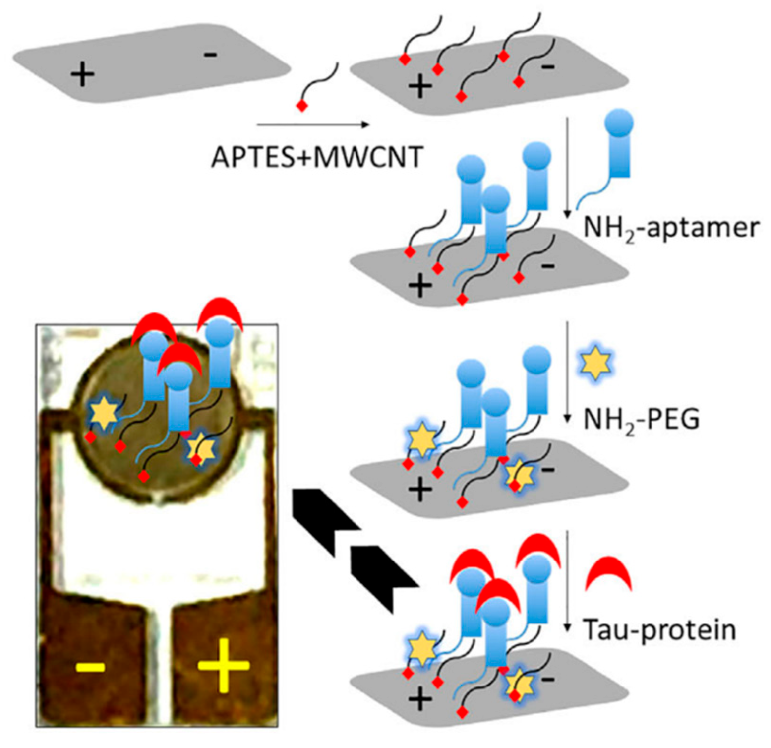 Biosensors 15 00684 g014