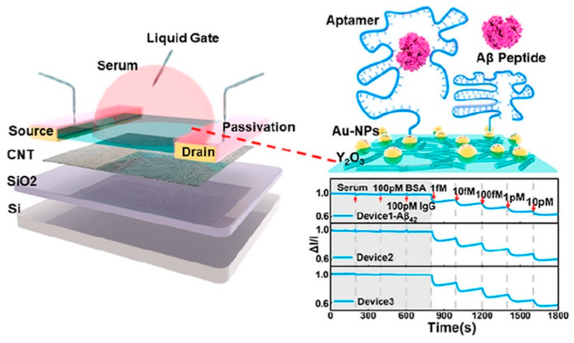 Biosensors 15 00684 g016