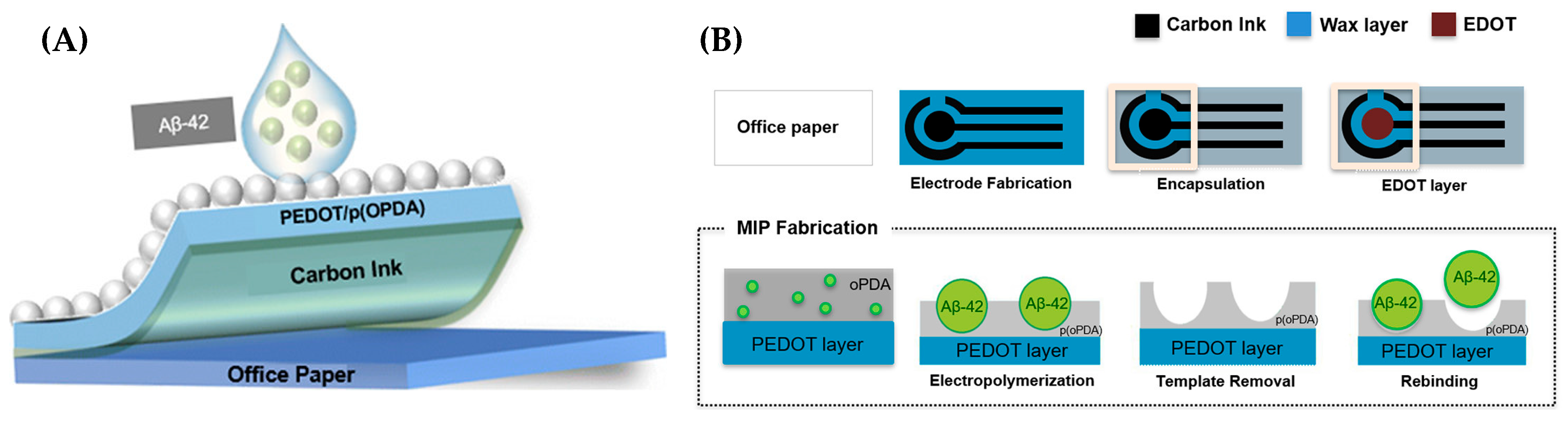 Biosensors 15 00684 g023