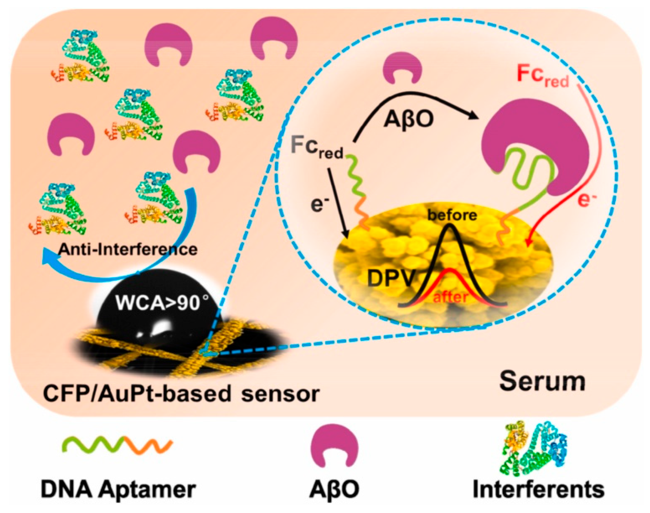 Biosensors 15 00684 g024