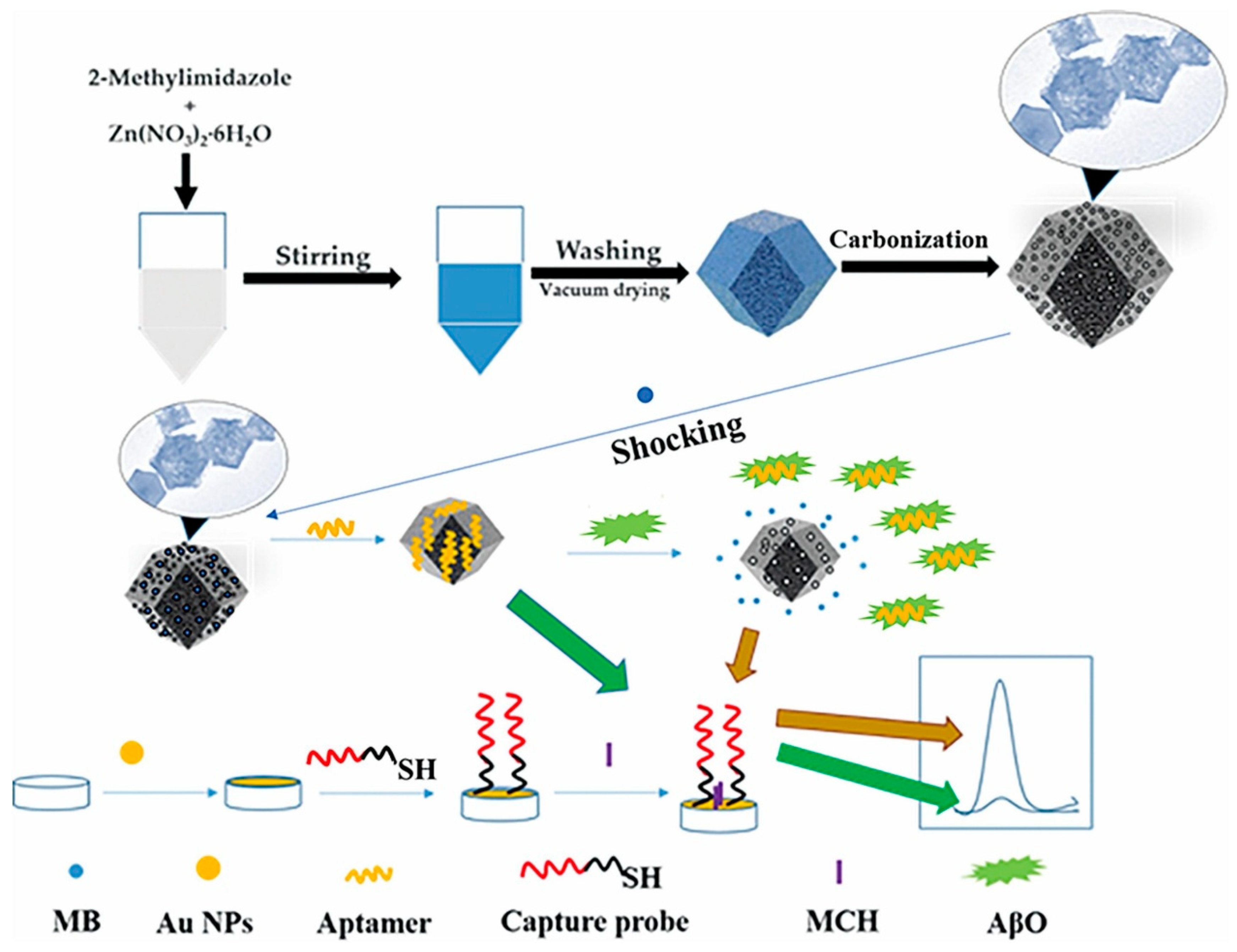 Biosensors 15 00684 g025