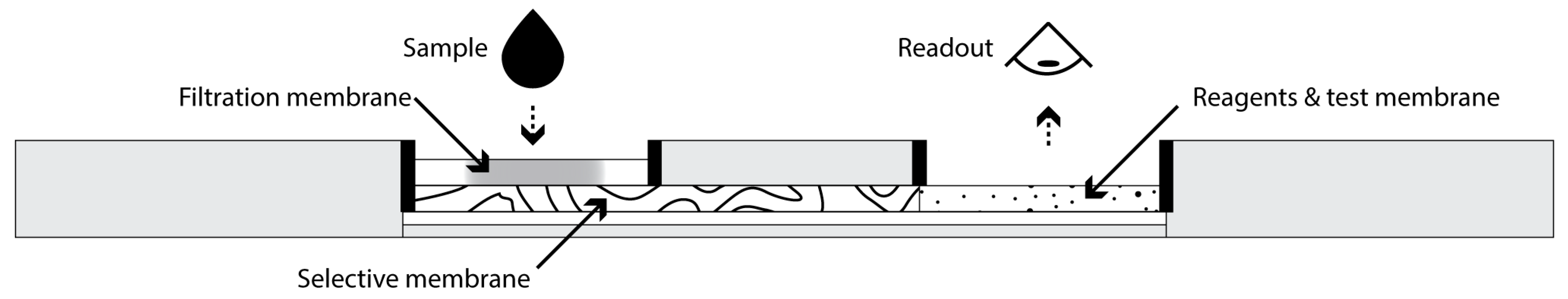 Biosensors 15 00685 g001 Biosensors 15 00685 g001