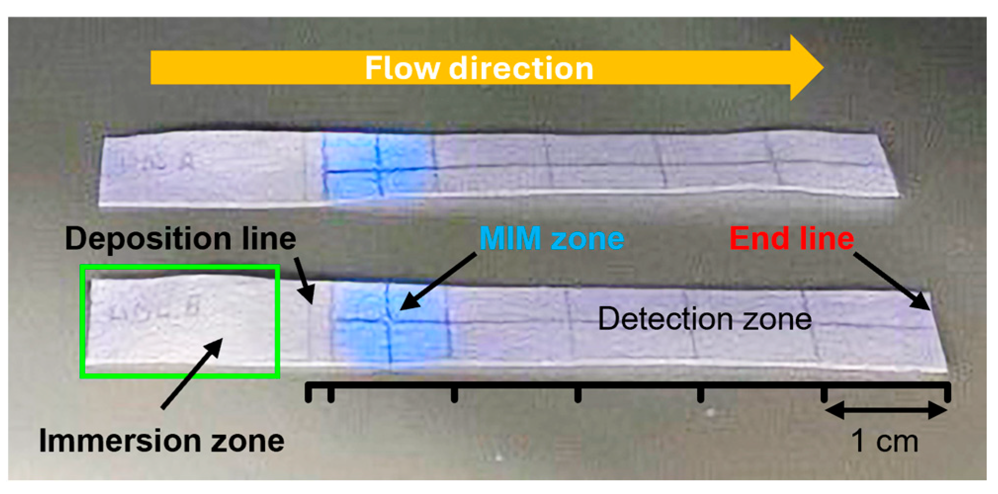 Biosensors 15 00685 g005 Biosensors 15 00685 g005