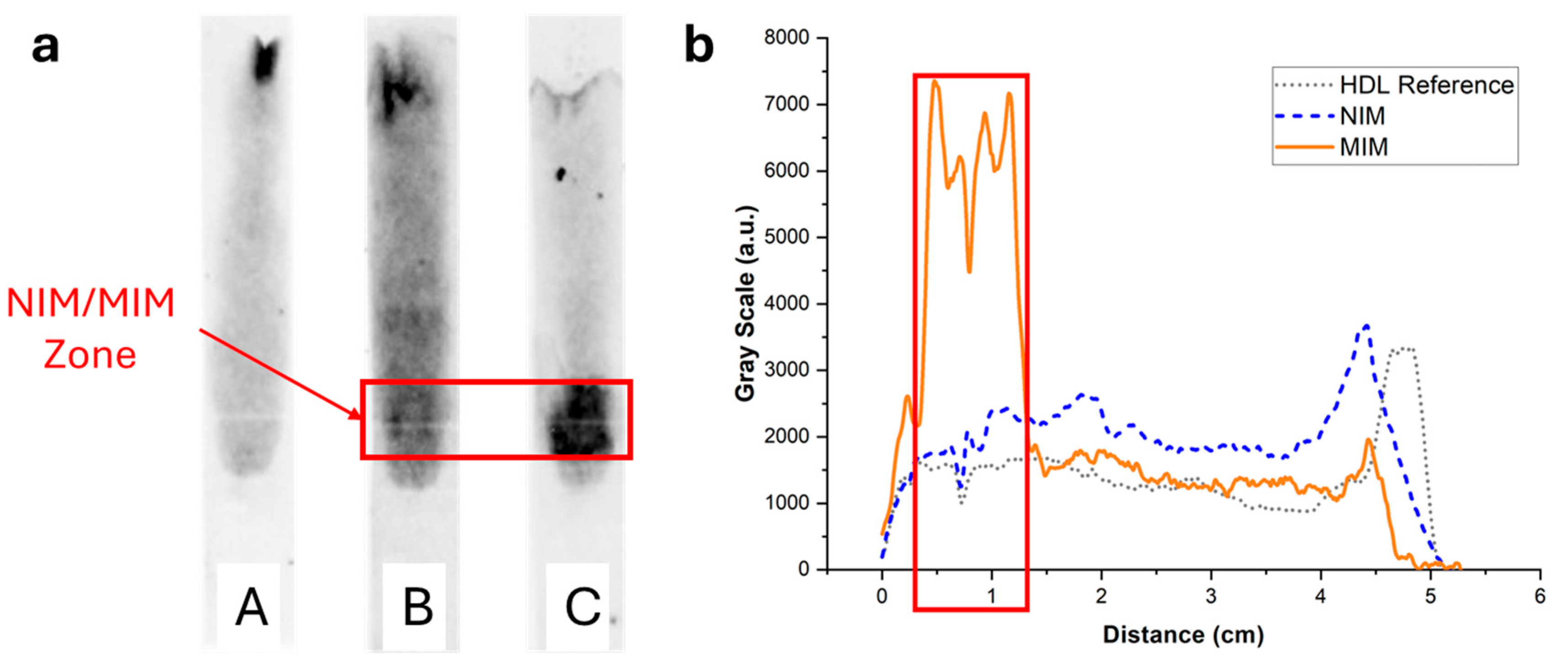 Biosensors 15 00685 g006 Biosensors 15 00685 g006
