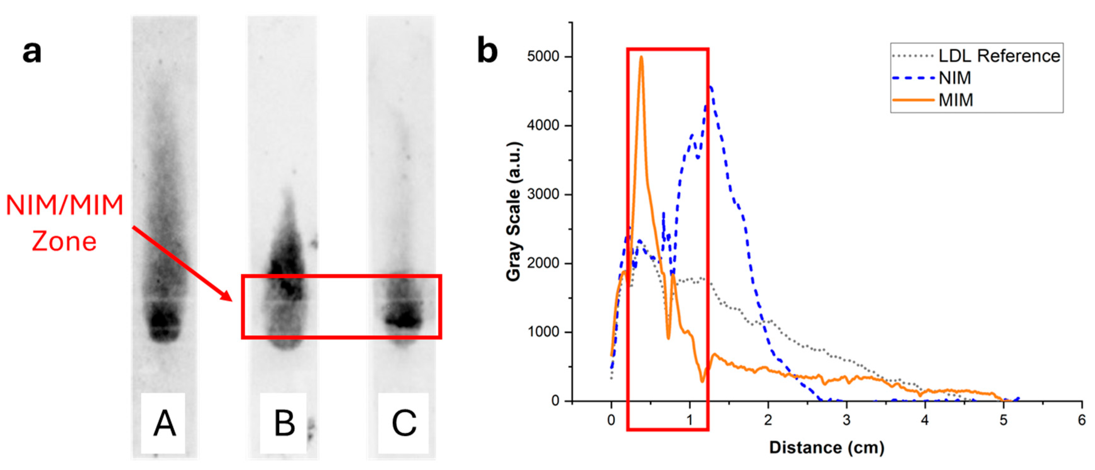 Biosensors 15 00685 g008 Biosensors 15 00685 g008