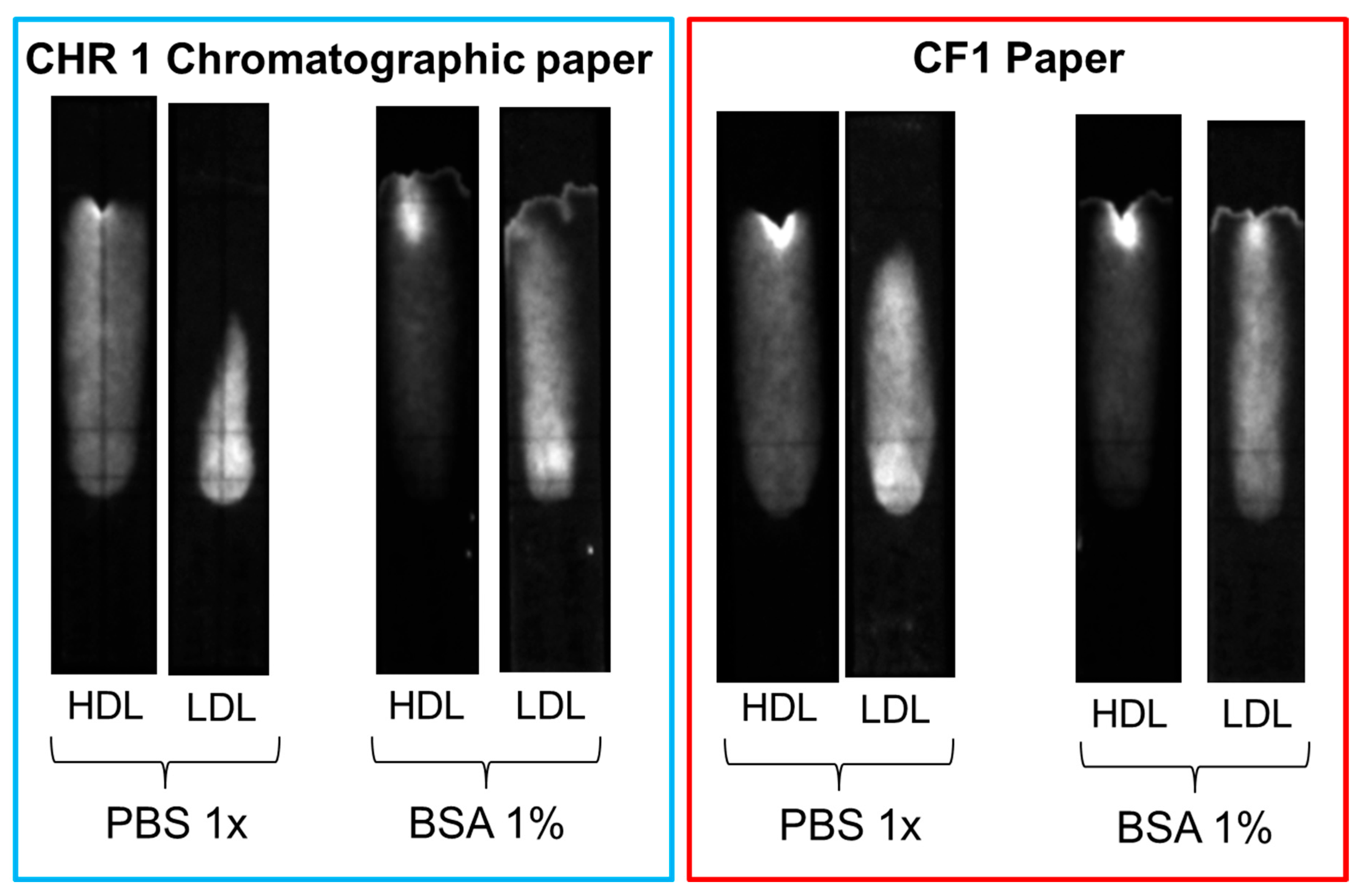 Biosensors 15 00685 g010 Biosensors 15 00685 g010