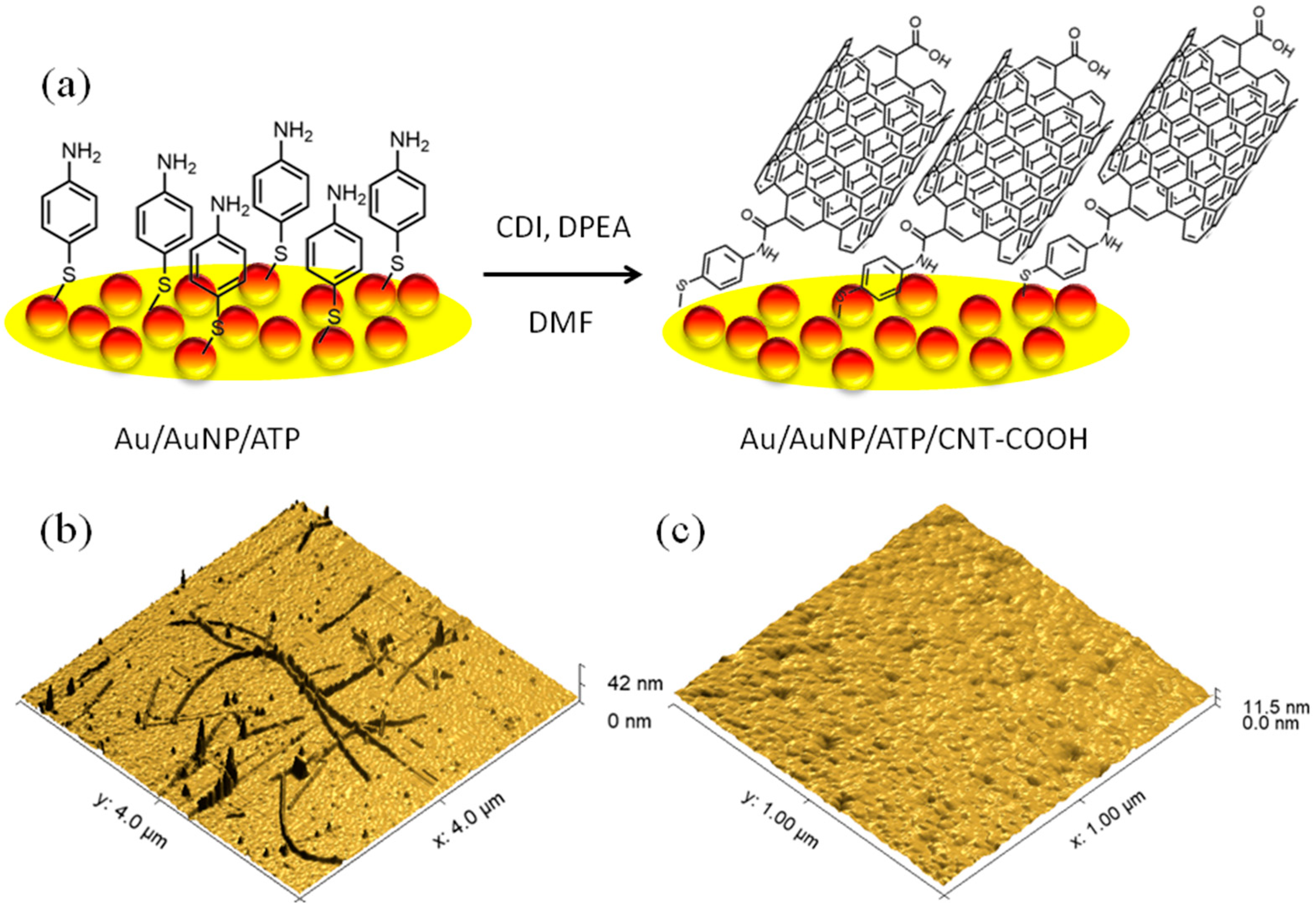 Biosensors 15 00686 g001