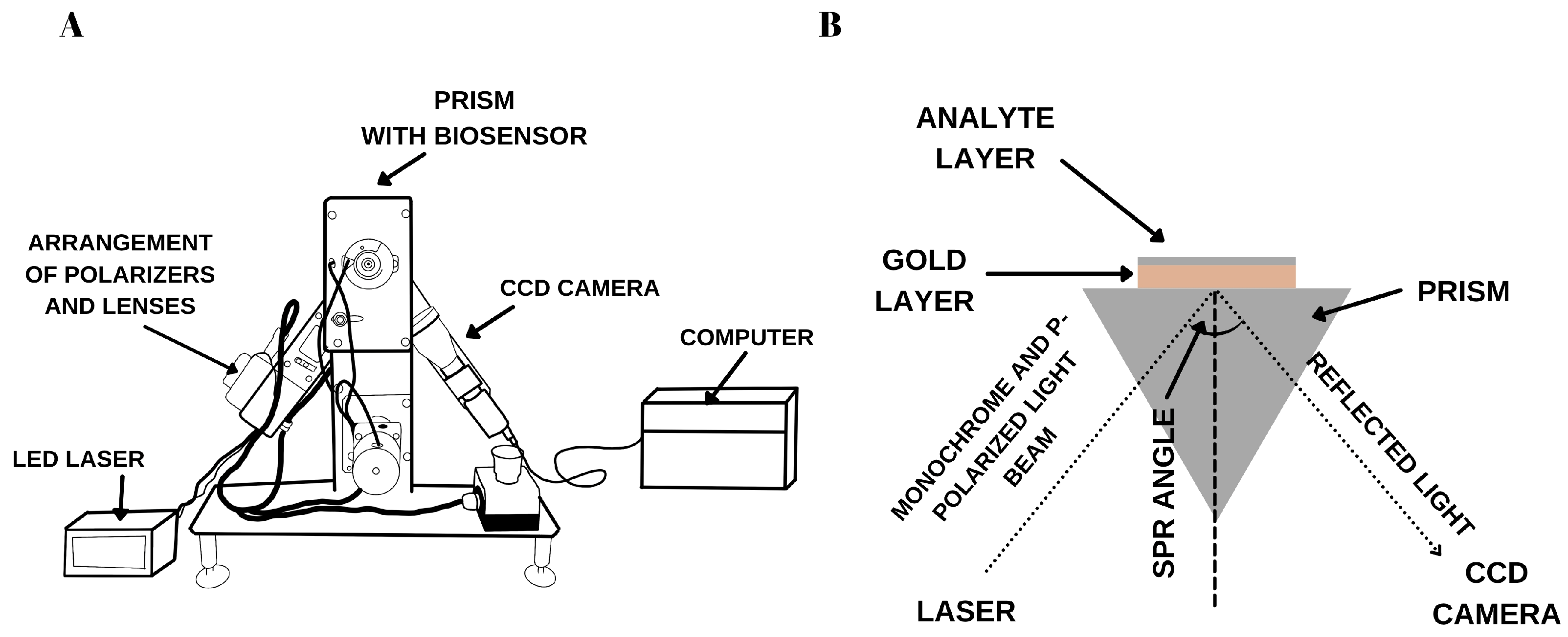 Biosensors 15 00687 g001