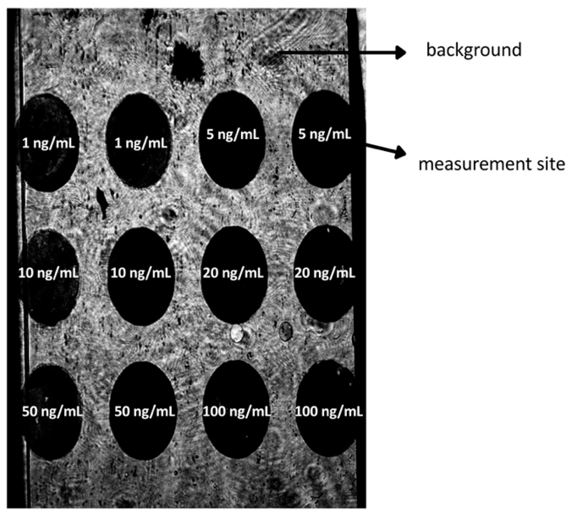 Biosensors 15 00687 g003