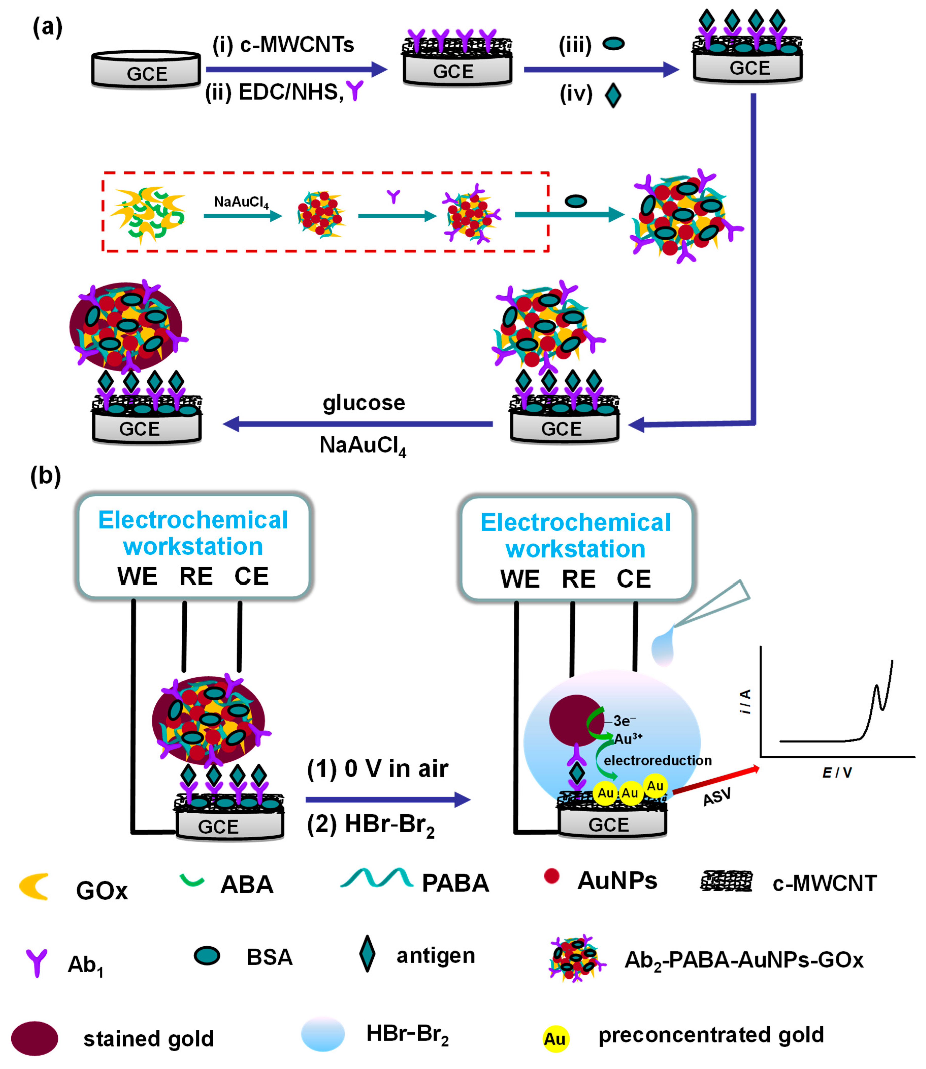 Biosensors 15 00689 g001 Biosensors 15 00689 g001