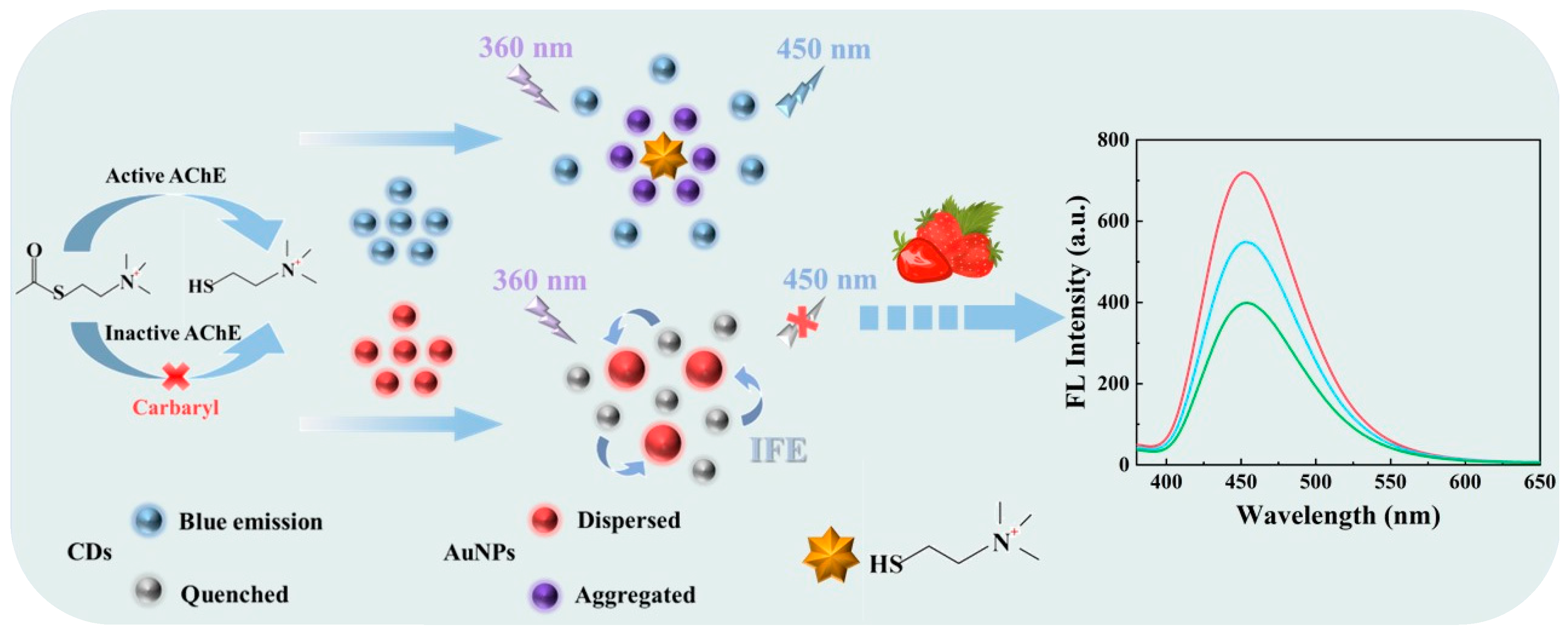Biosensors 15 00691 sch001 Biosensors 15 00691 sch001