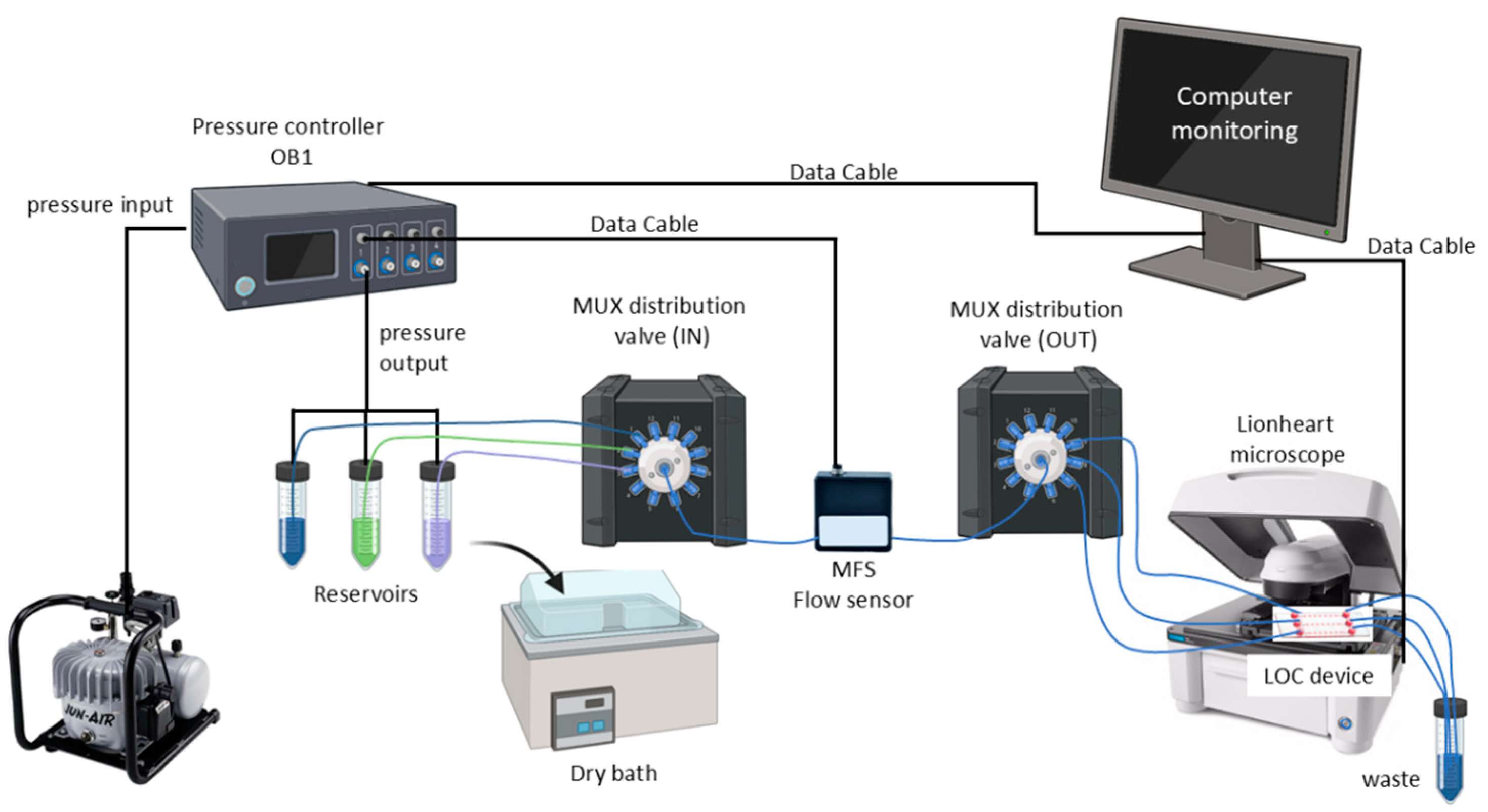 Biosensors 15 00693 g001
