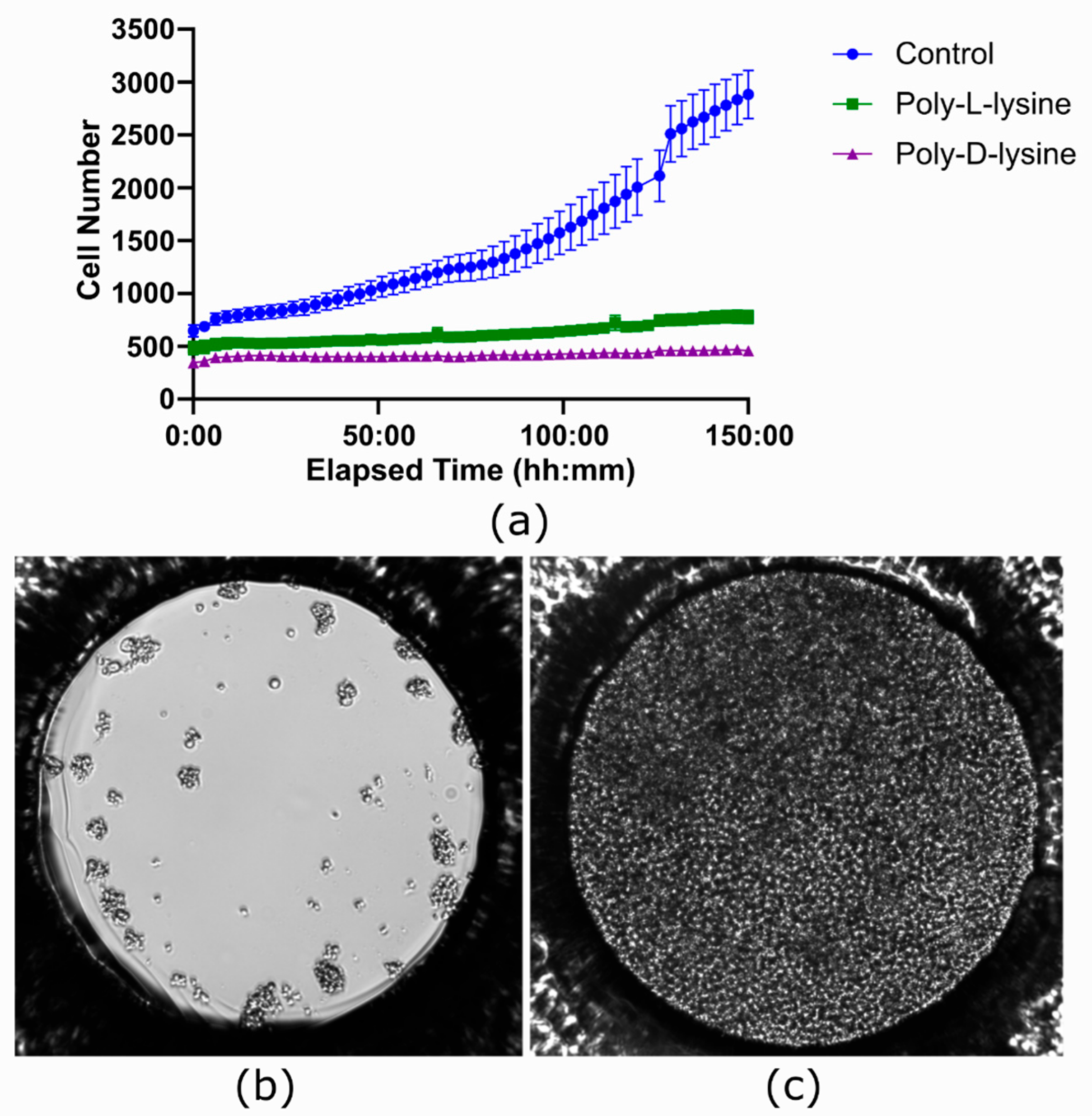 Biosensors 15 00693 g010