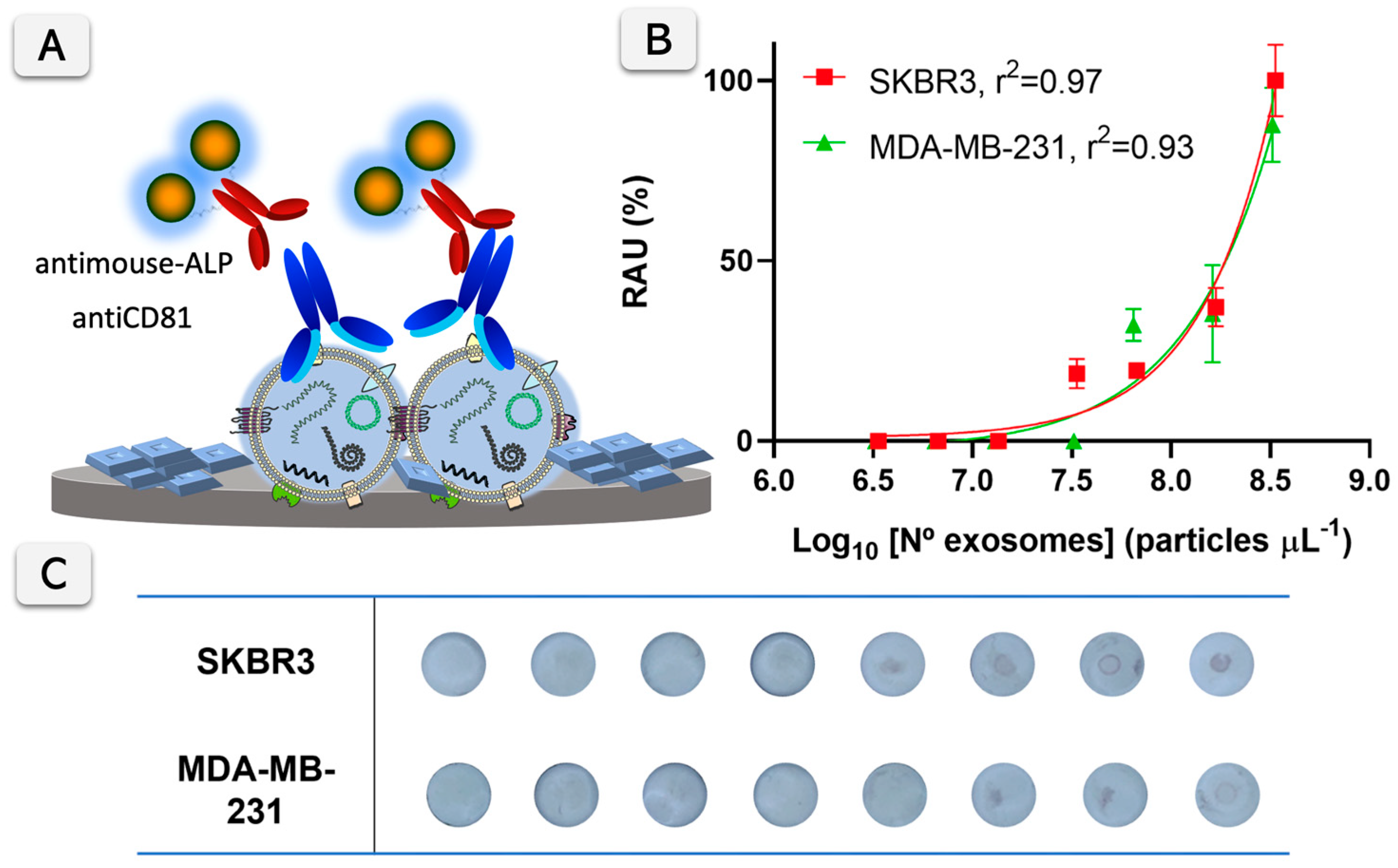Biosensors 15 00694 g004 Biosensors 15 00694 g004