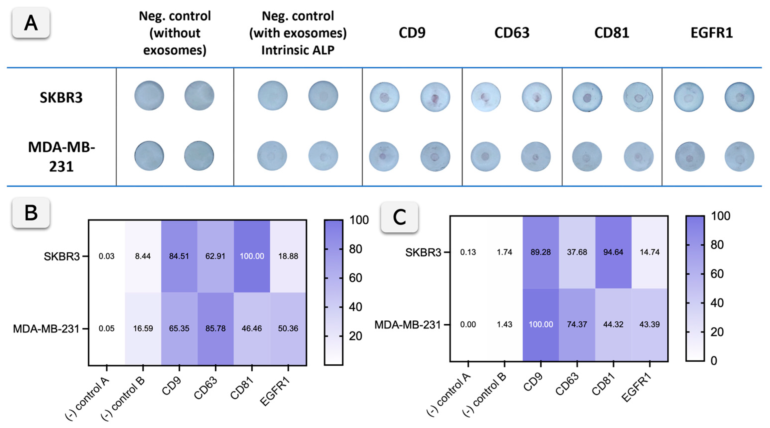 Biosensors 15 00694 g005 Biosensors 15 00694 g005