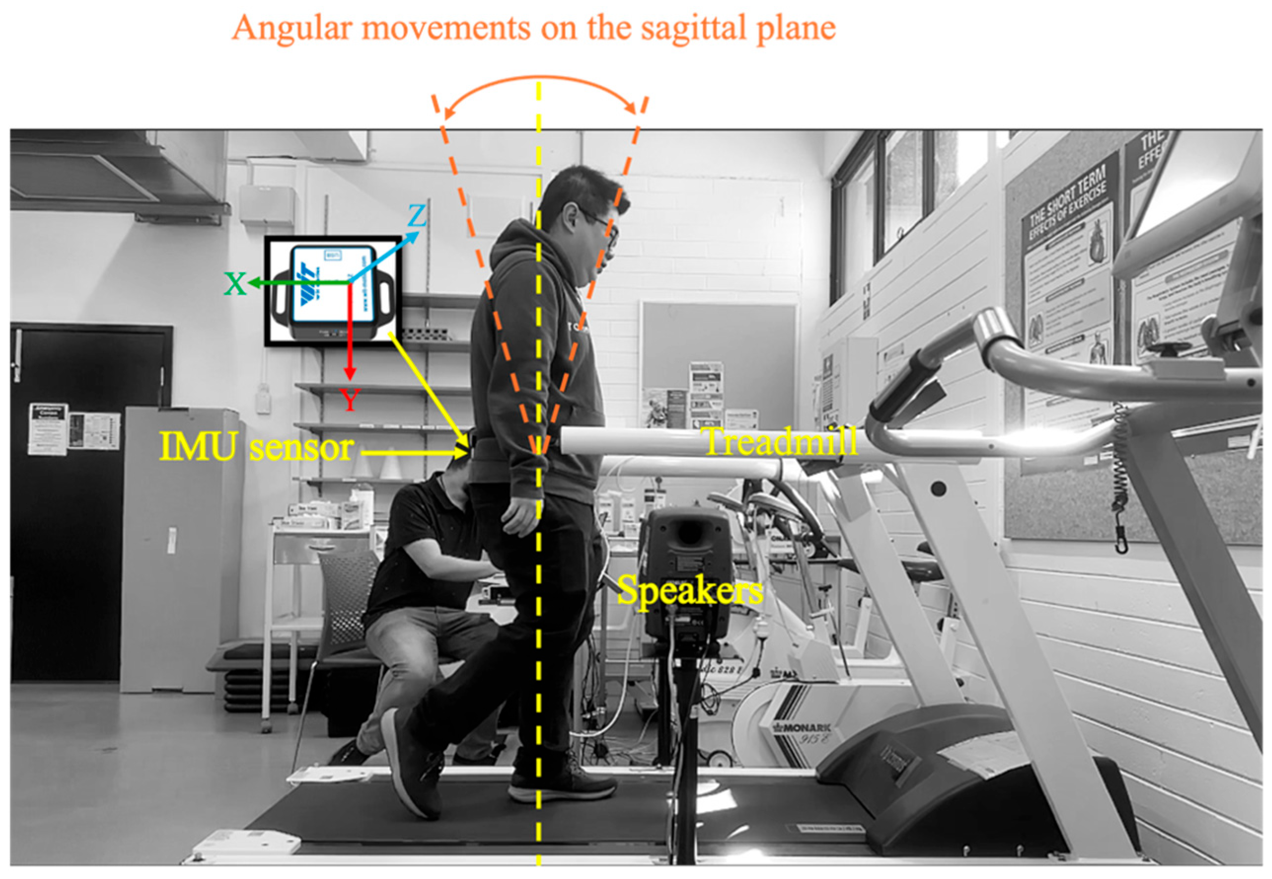 Biosensors 15 00698 g002 Biosensors 15 00698 g002
