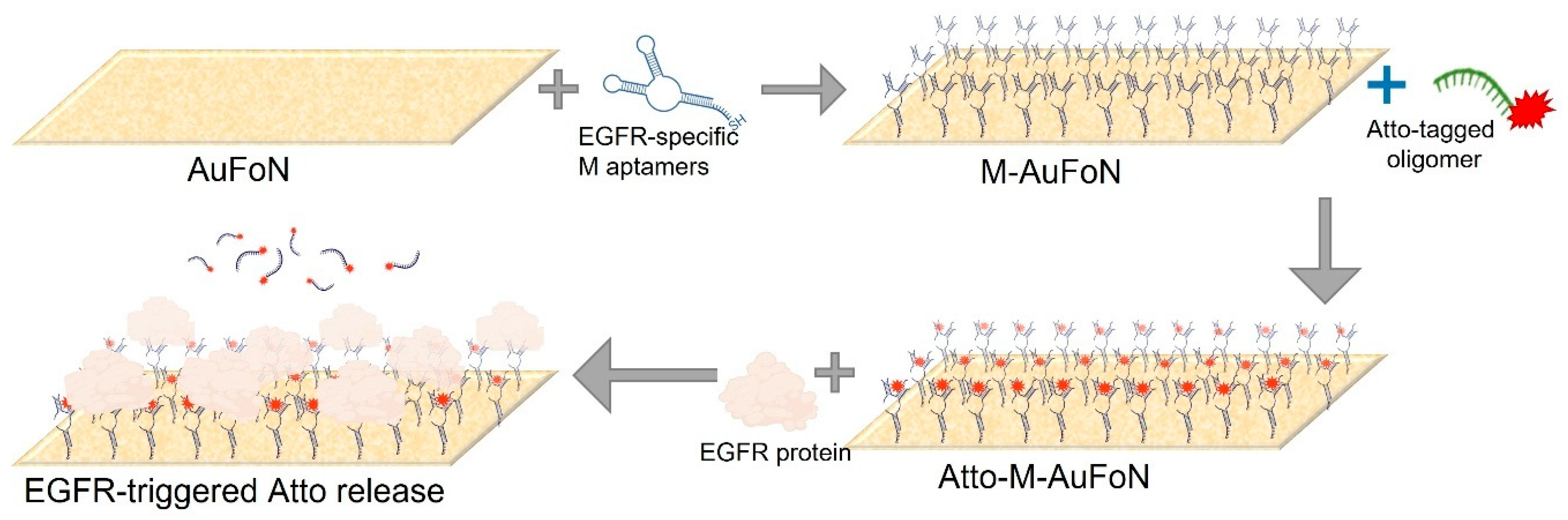 Biosensors 15 00699 g008