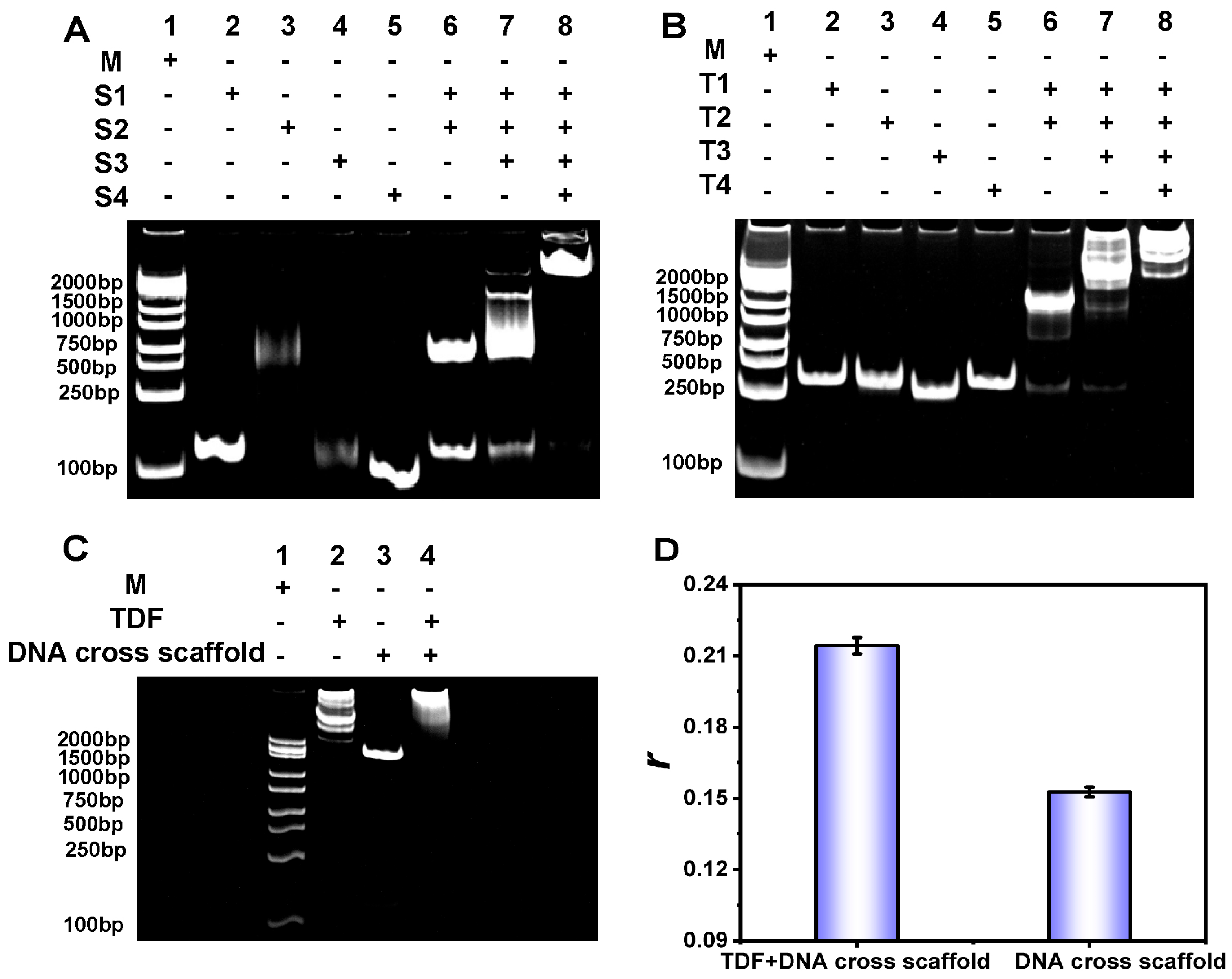 Biosensors 15 00700 g002 Biosensors 15 00700 g002