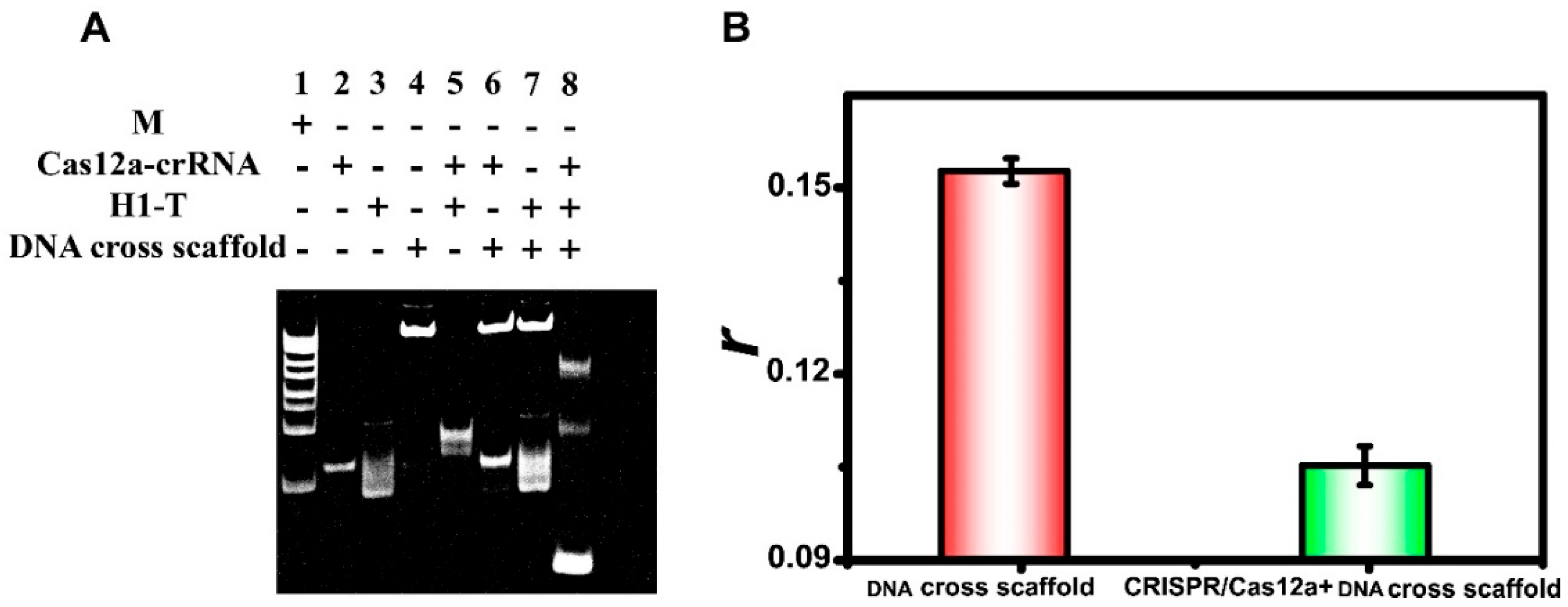 Biosensors 15 00700 g003 Biosensors 15 00700 g003