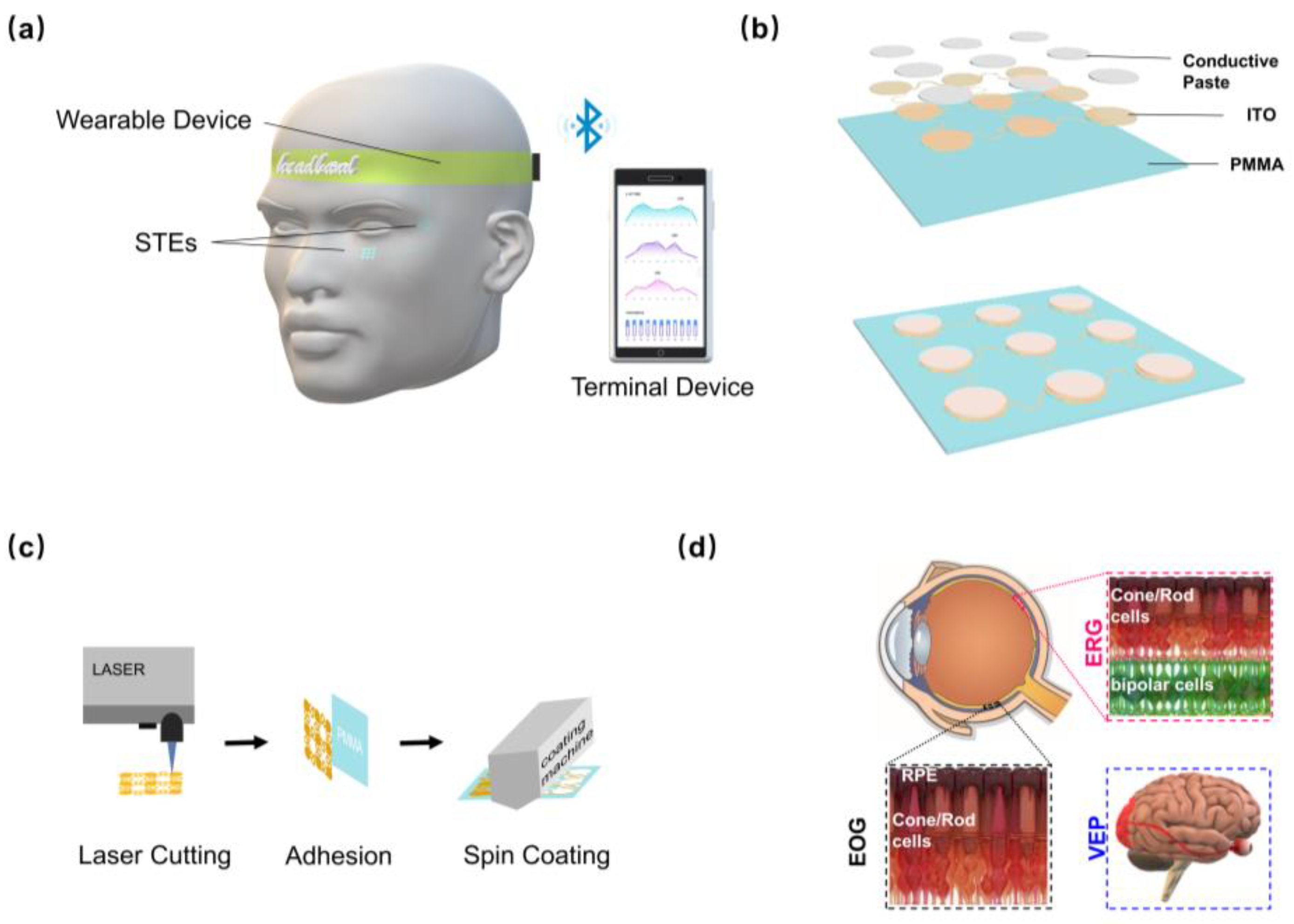 Biosensors 15 00701 g001 Biosensors 15 00701 g001