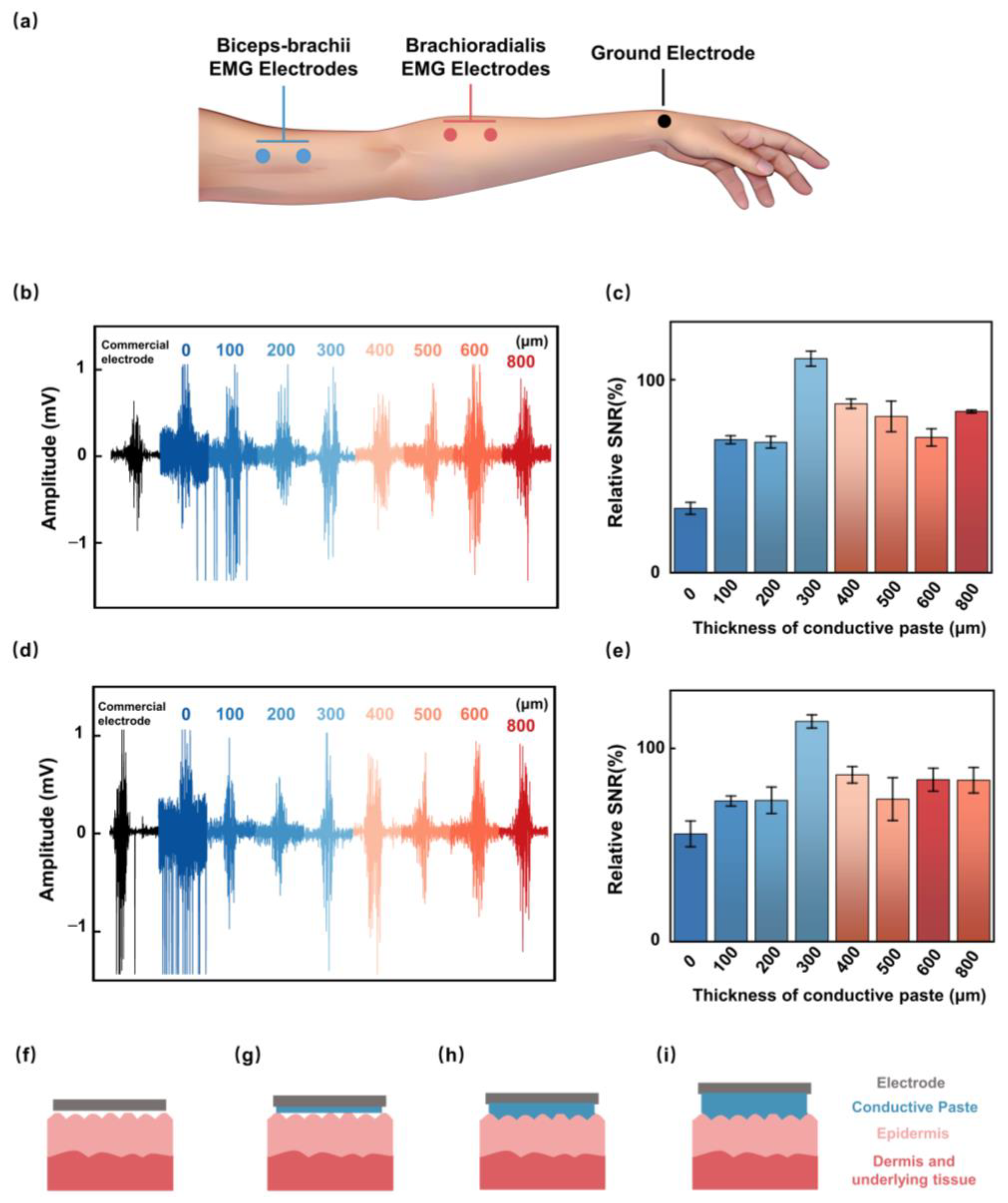 Biosensors 15 00701 g003 Biosensors 15 00701 g003