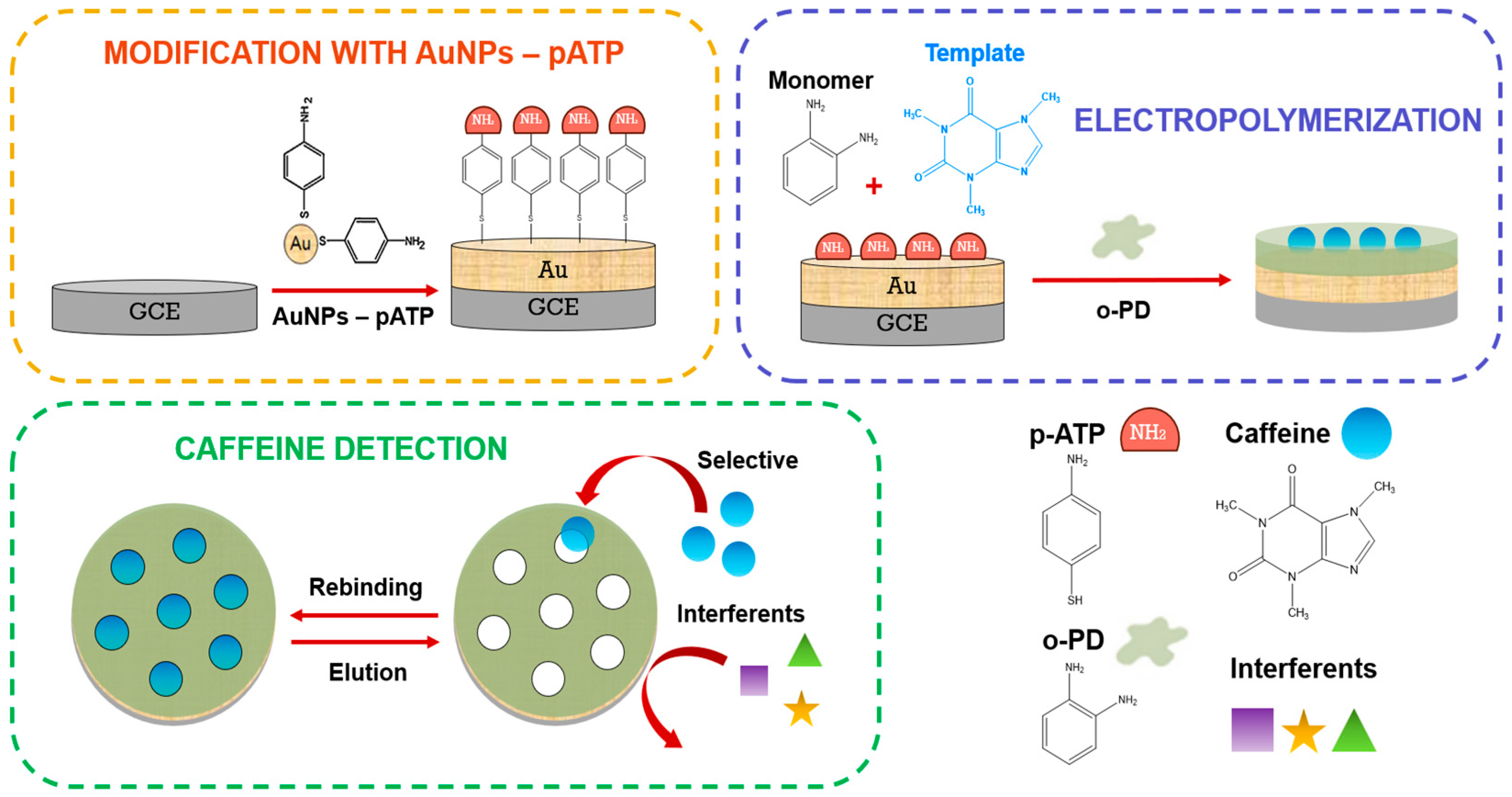 Biosensors 15 00704 g001