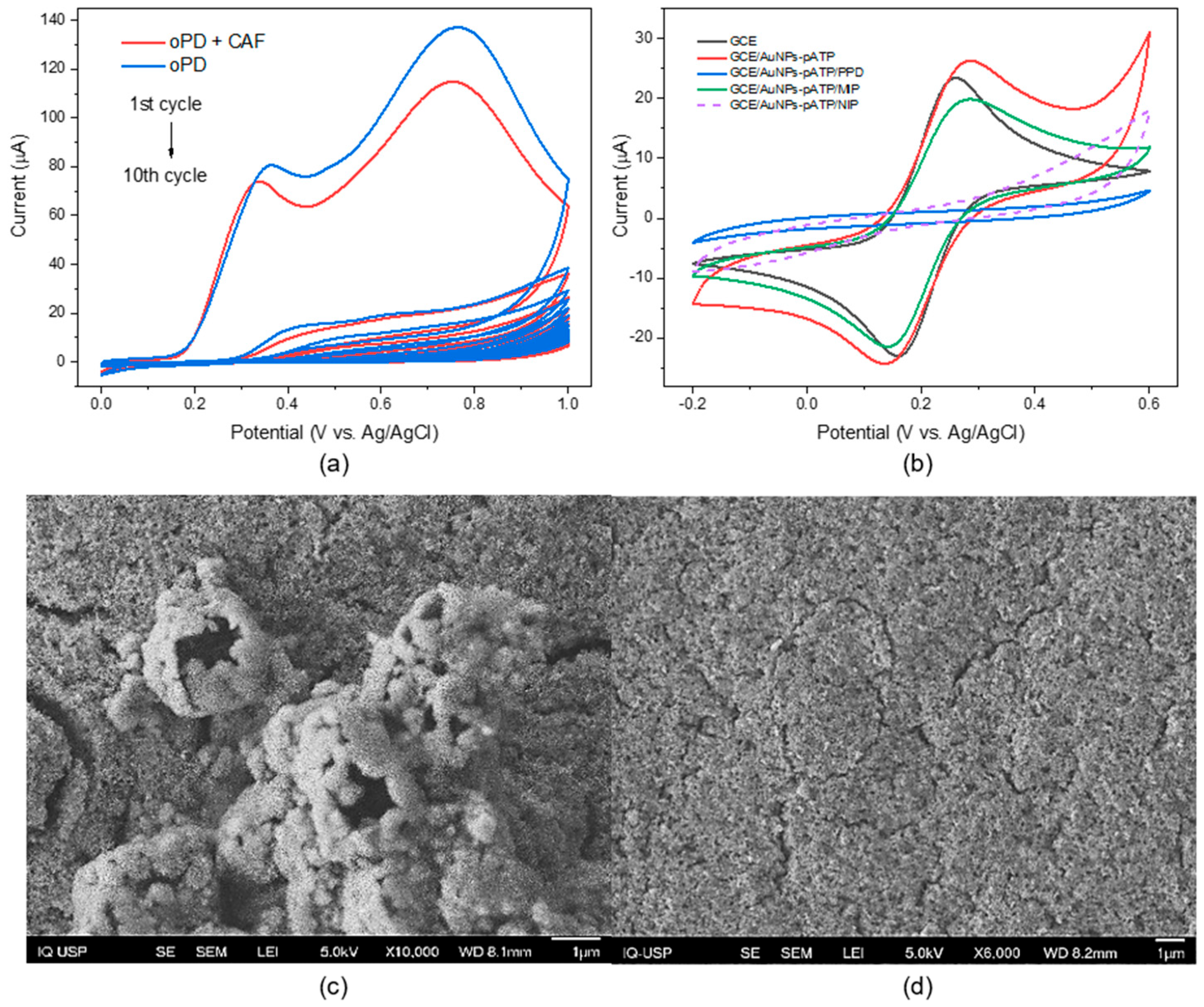 Biosensors 15 00704 g003