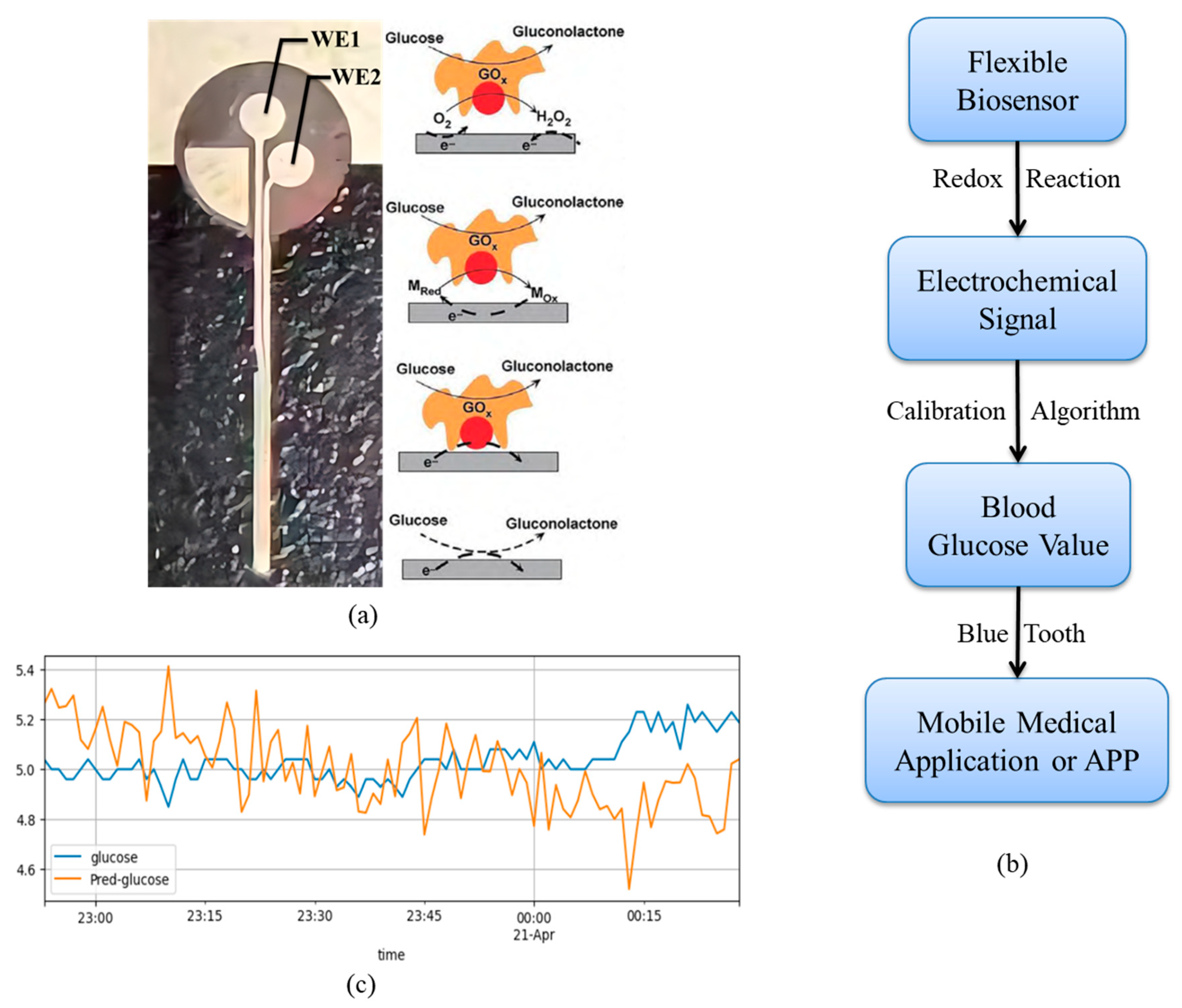 Biosensors 15 00707 g001